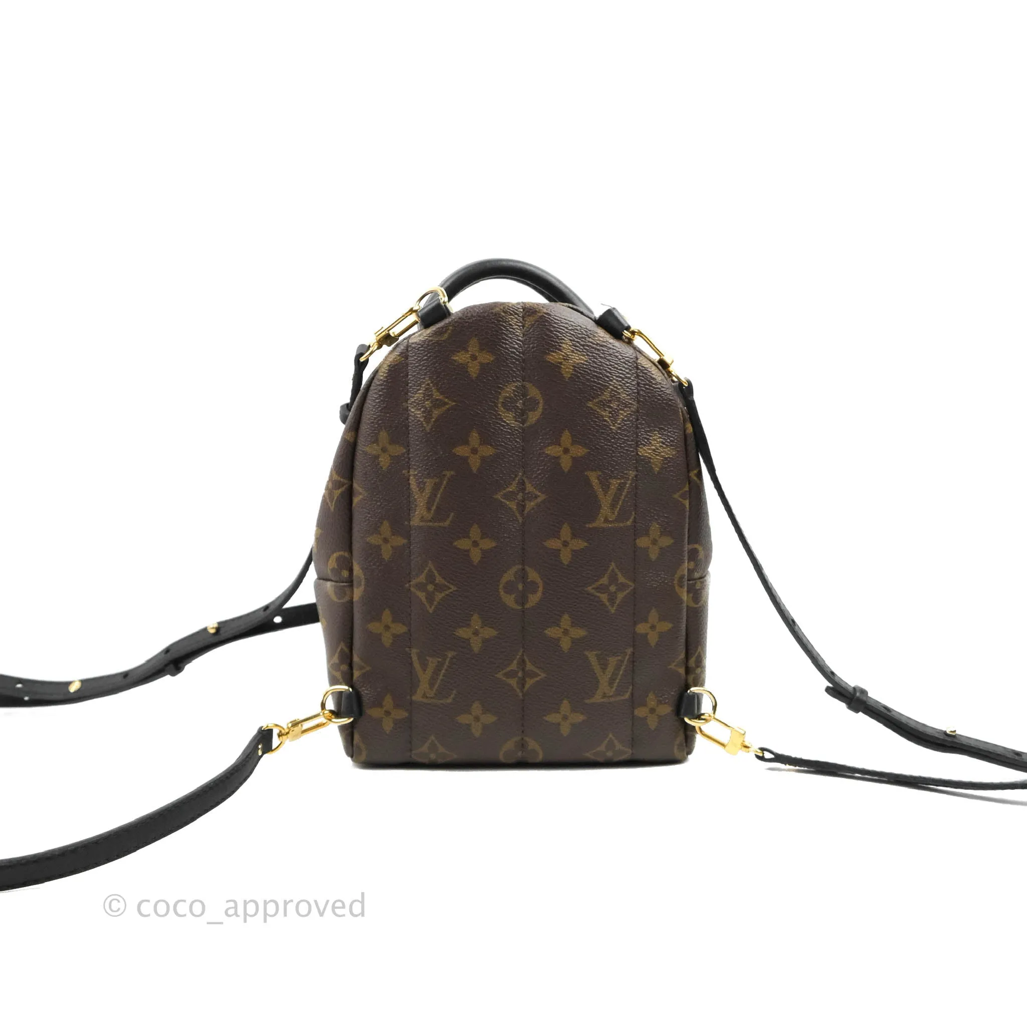 Louis Vuitton Monogram Mini Palm Springs Backpack