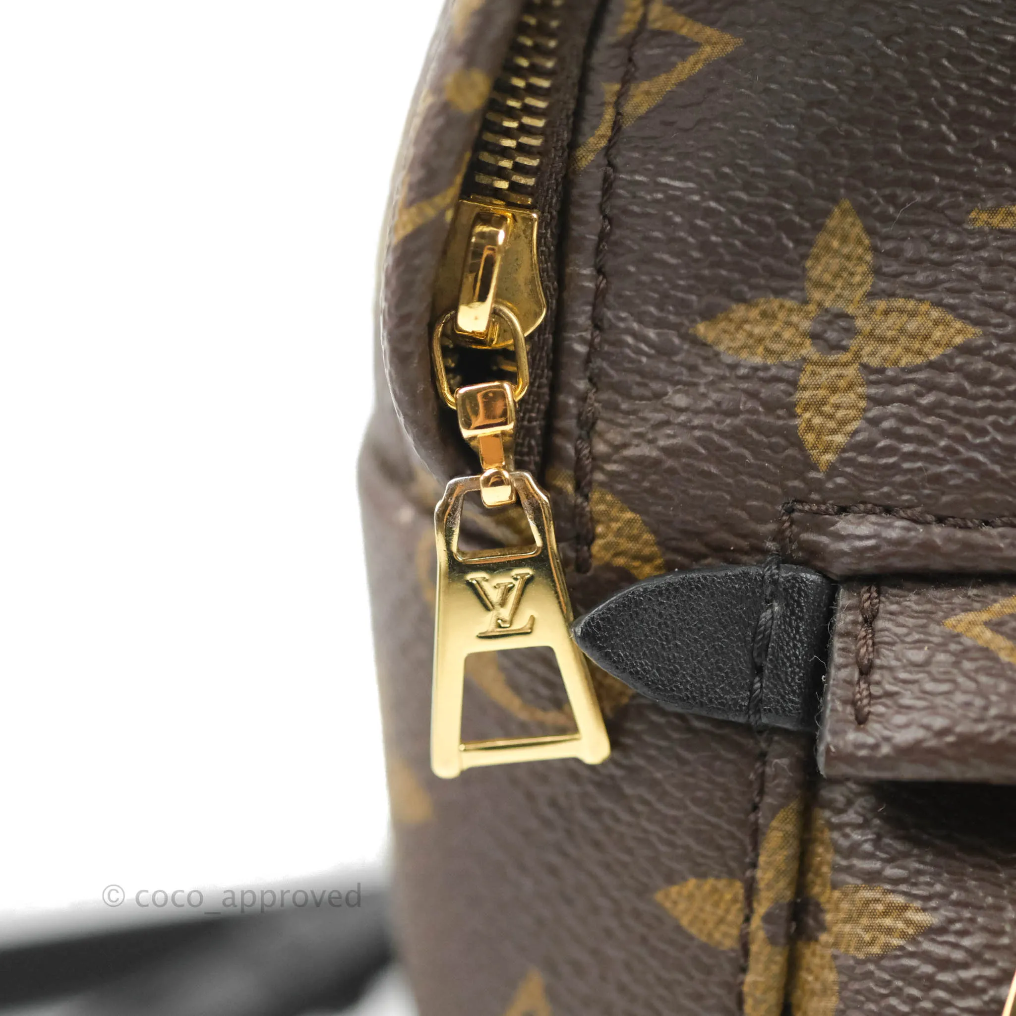 Louis Vuitton Monogram Mini Palm Springs Backpack