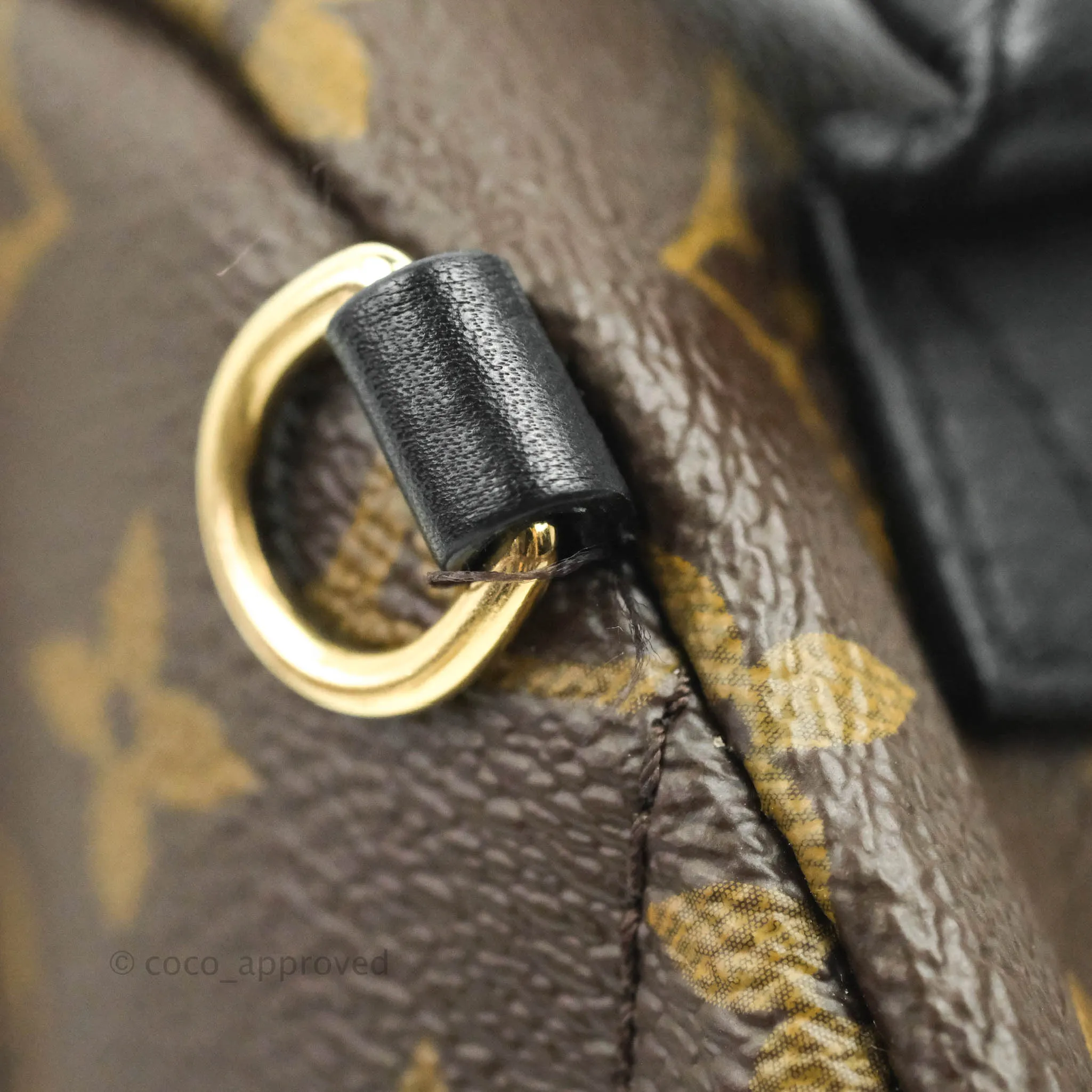 Louis Vuitton Monogram Mini Palm Springs Backpack