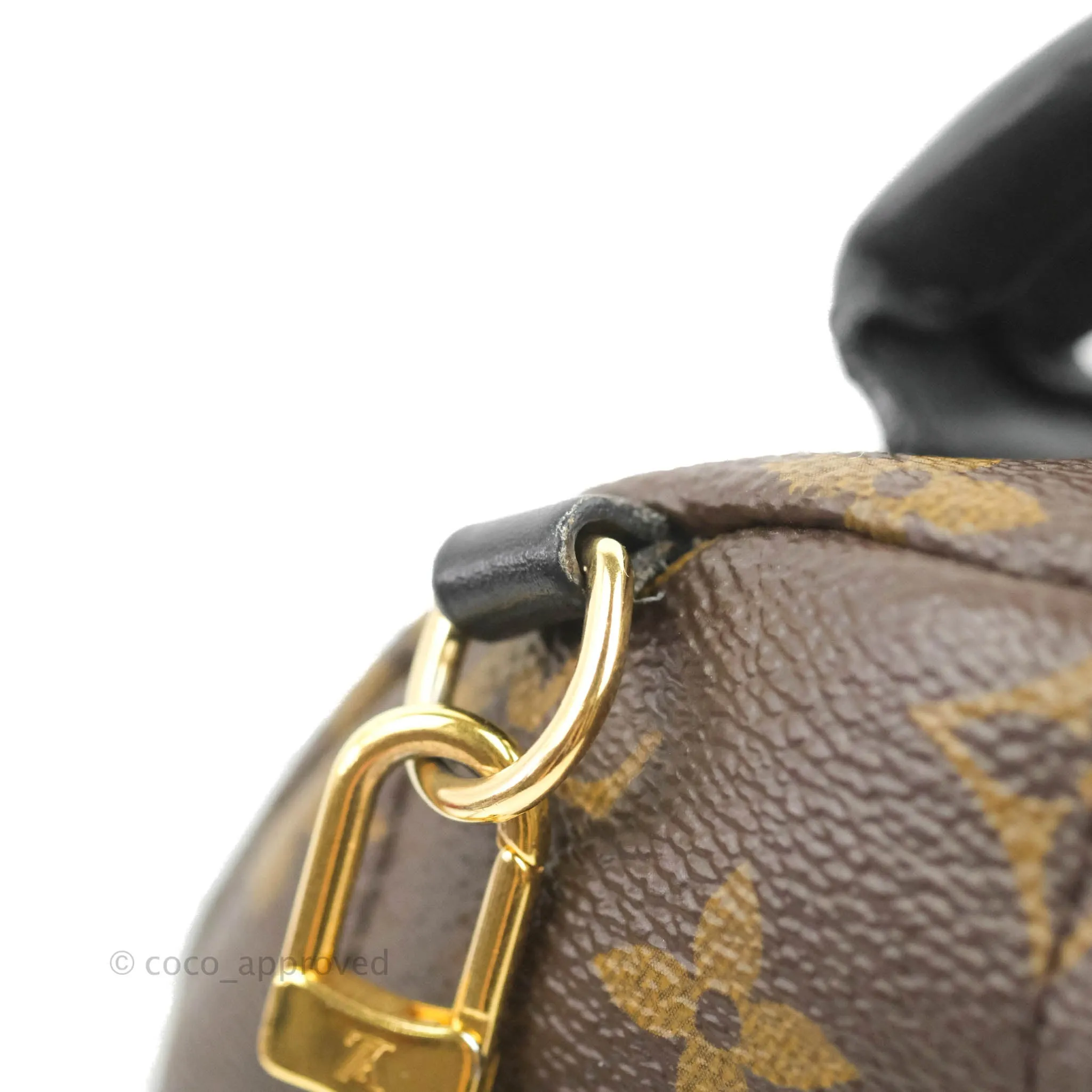 Louis Vuitton Monogram Mini Palm Springs Backpack