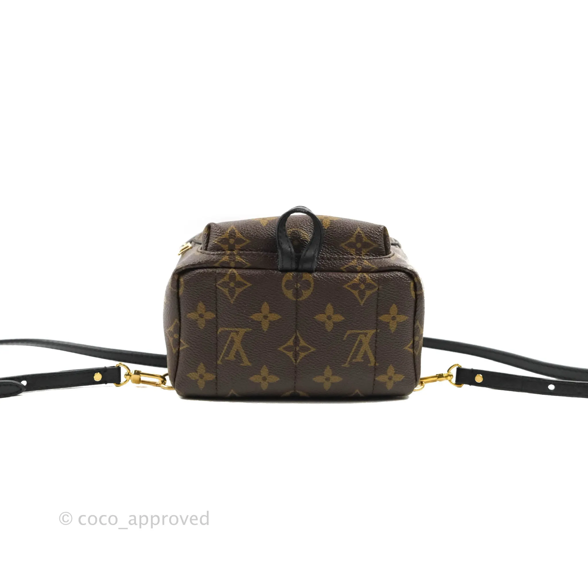 Louis Vuitton Monogram Mini Palm Springs Backpack
