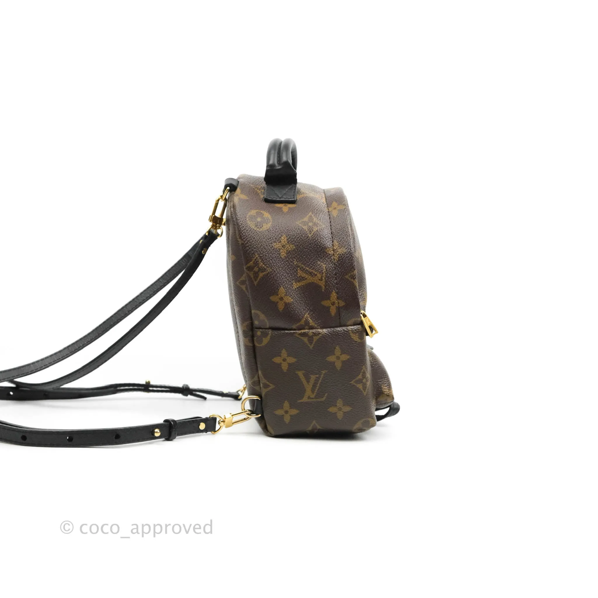 Louis Vuitton Monogram Mini Palm Springs Backpack