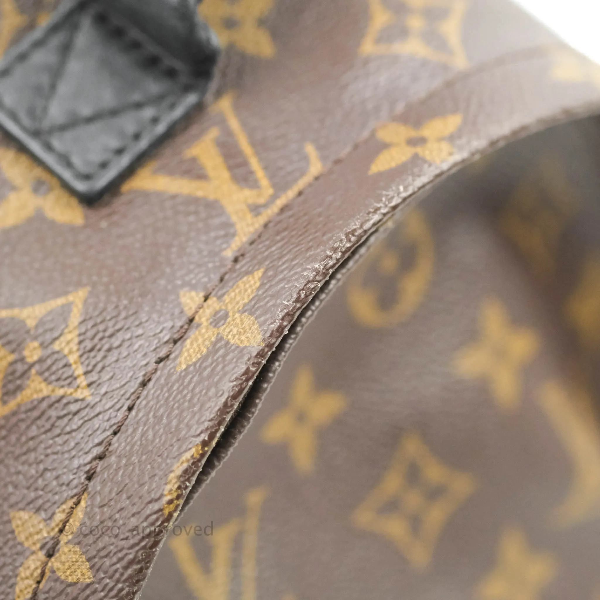 Louis Vuitton Monogram Mini Palm Springs Backpack