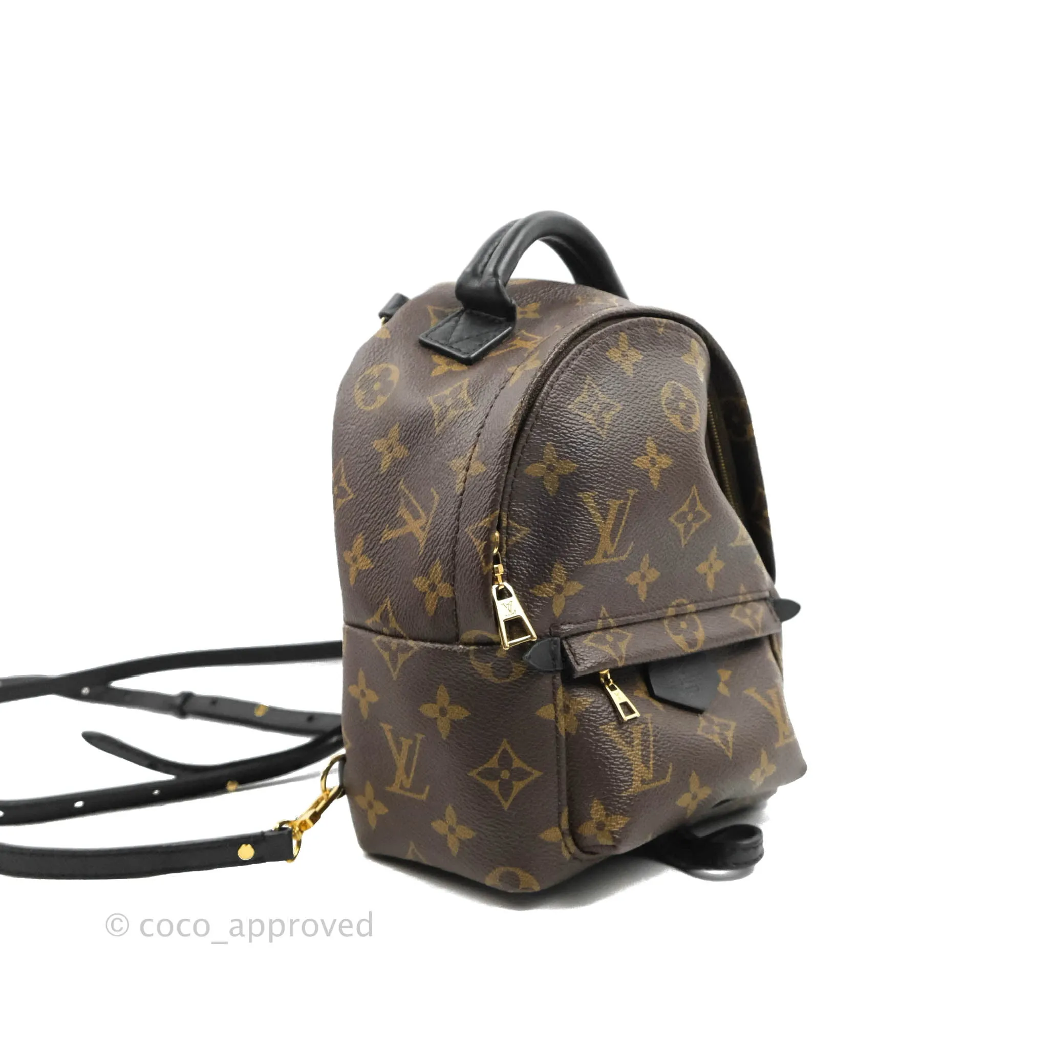 Louis Vuitton Monogram Mini Palm Springs Backpack