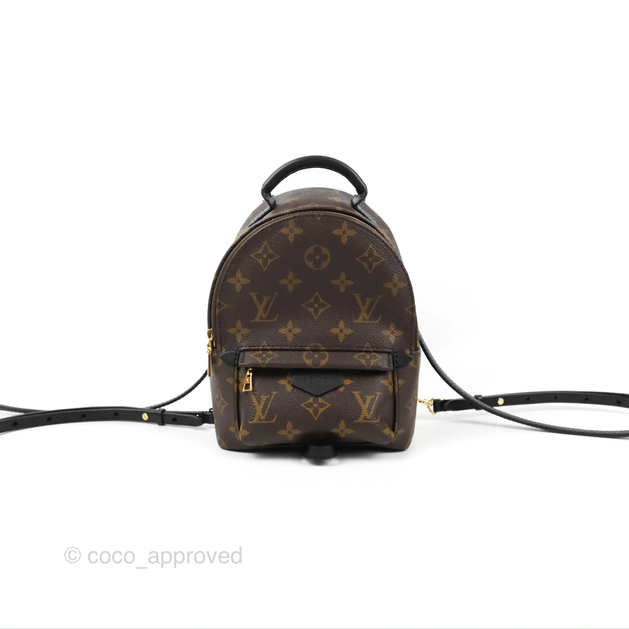 Louis Vuitton Monogram Mini Palm Springs Backpack