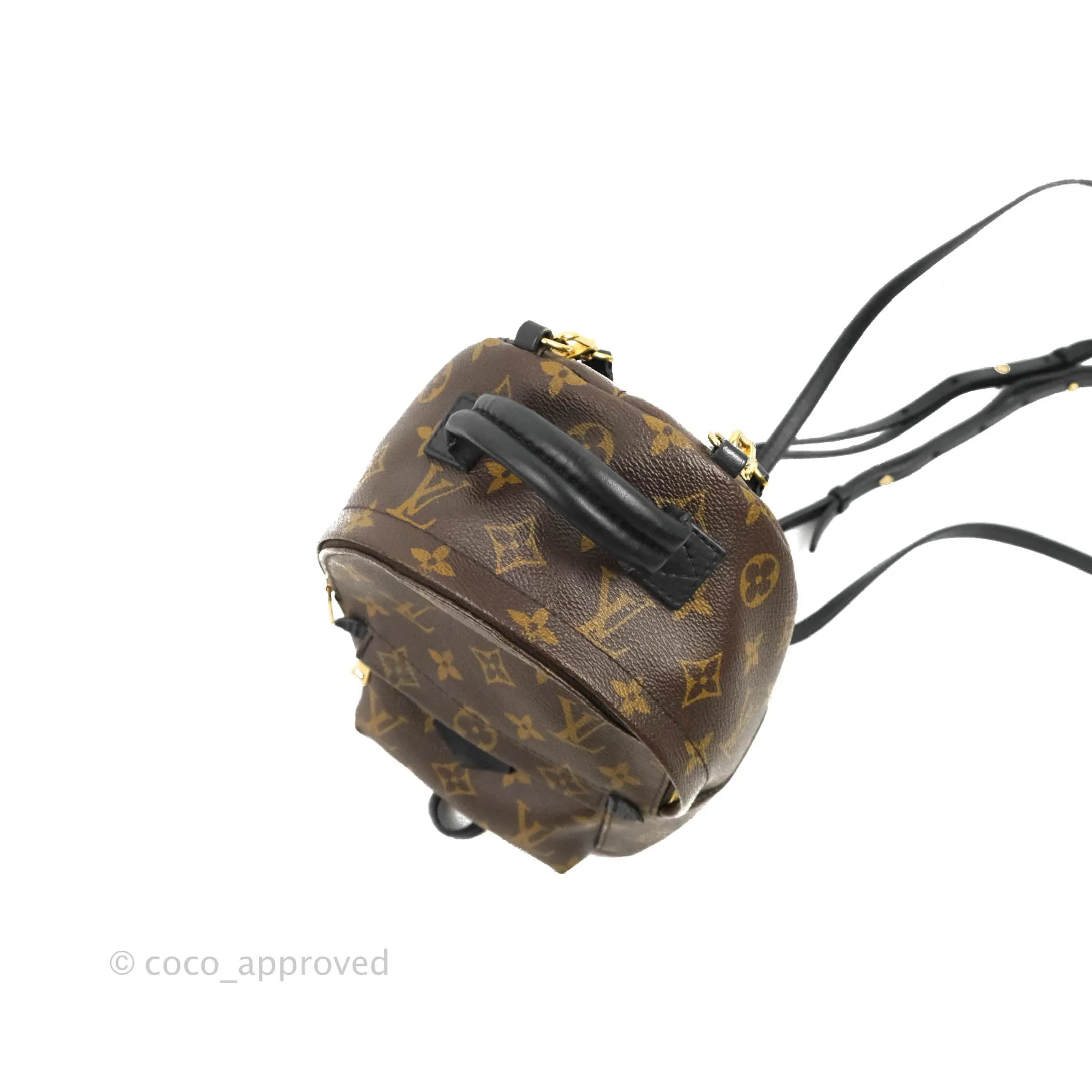 Louis Vuitton Monogram Mini Palm Springs Backpack