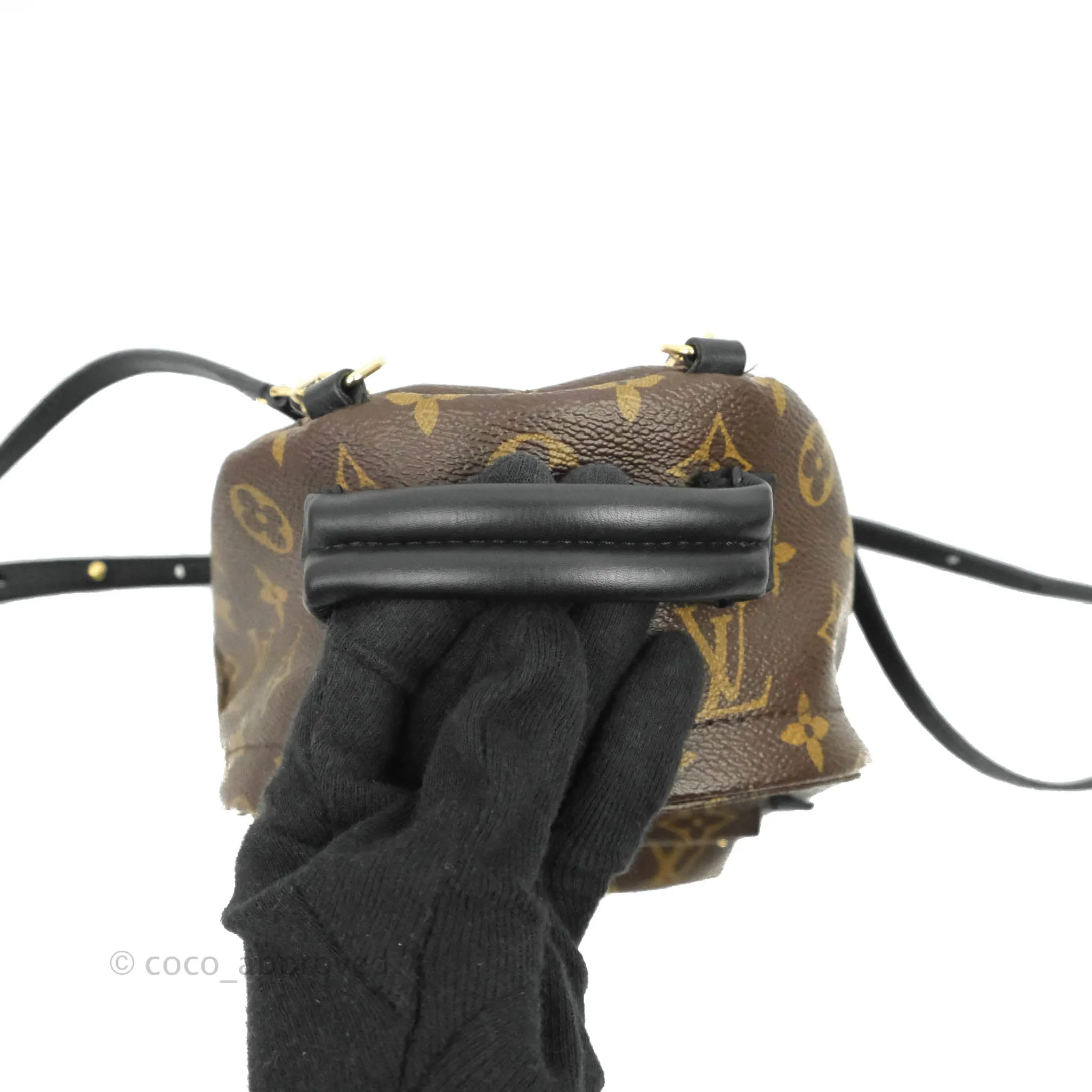 Louis Vuitton Monogram Mini Palm Springs Backpack