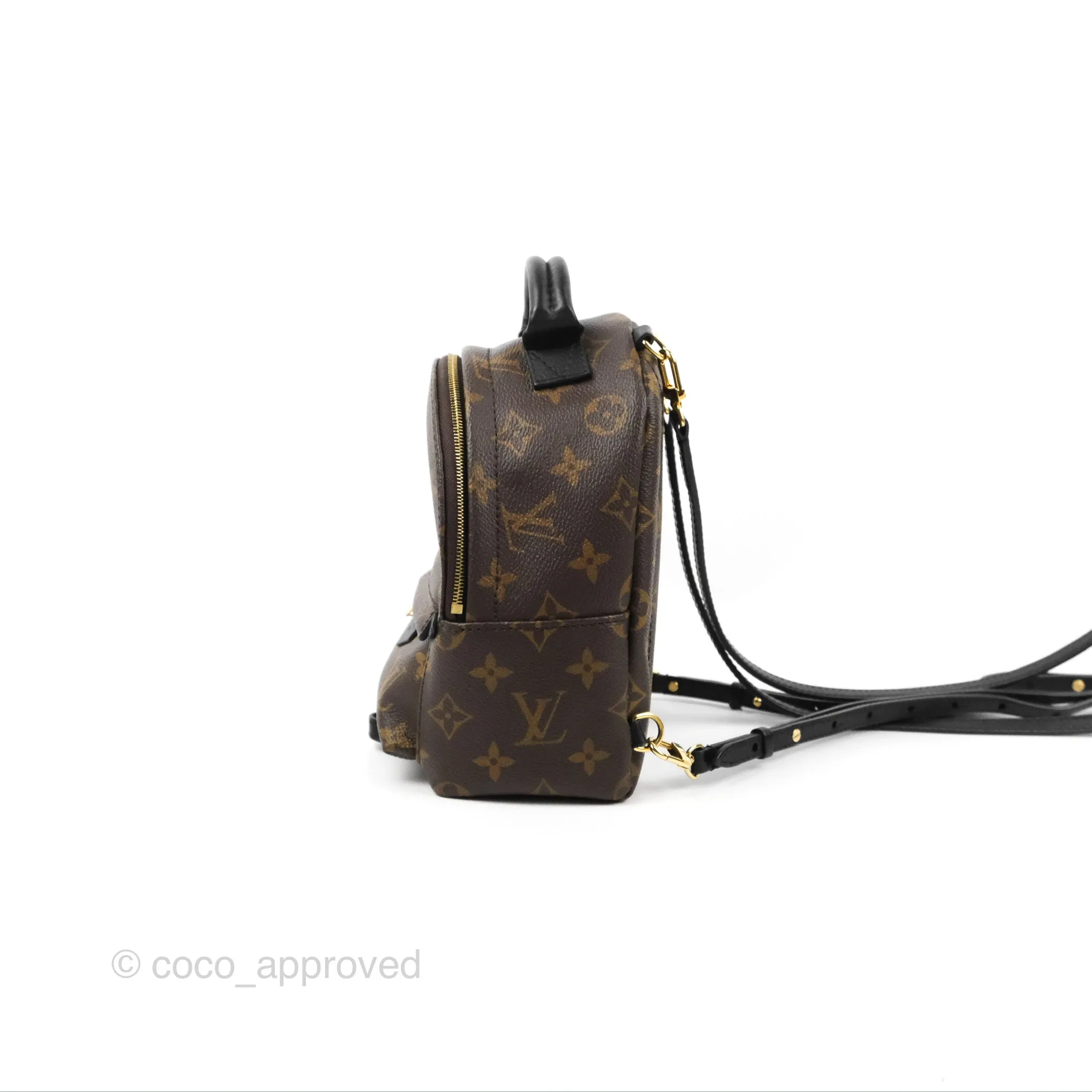 Louis Vuitton Monogram Mini Palm Springs Backpack