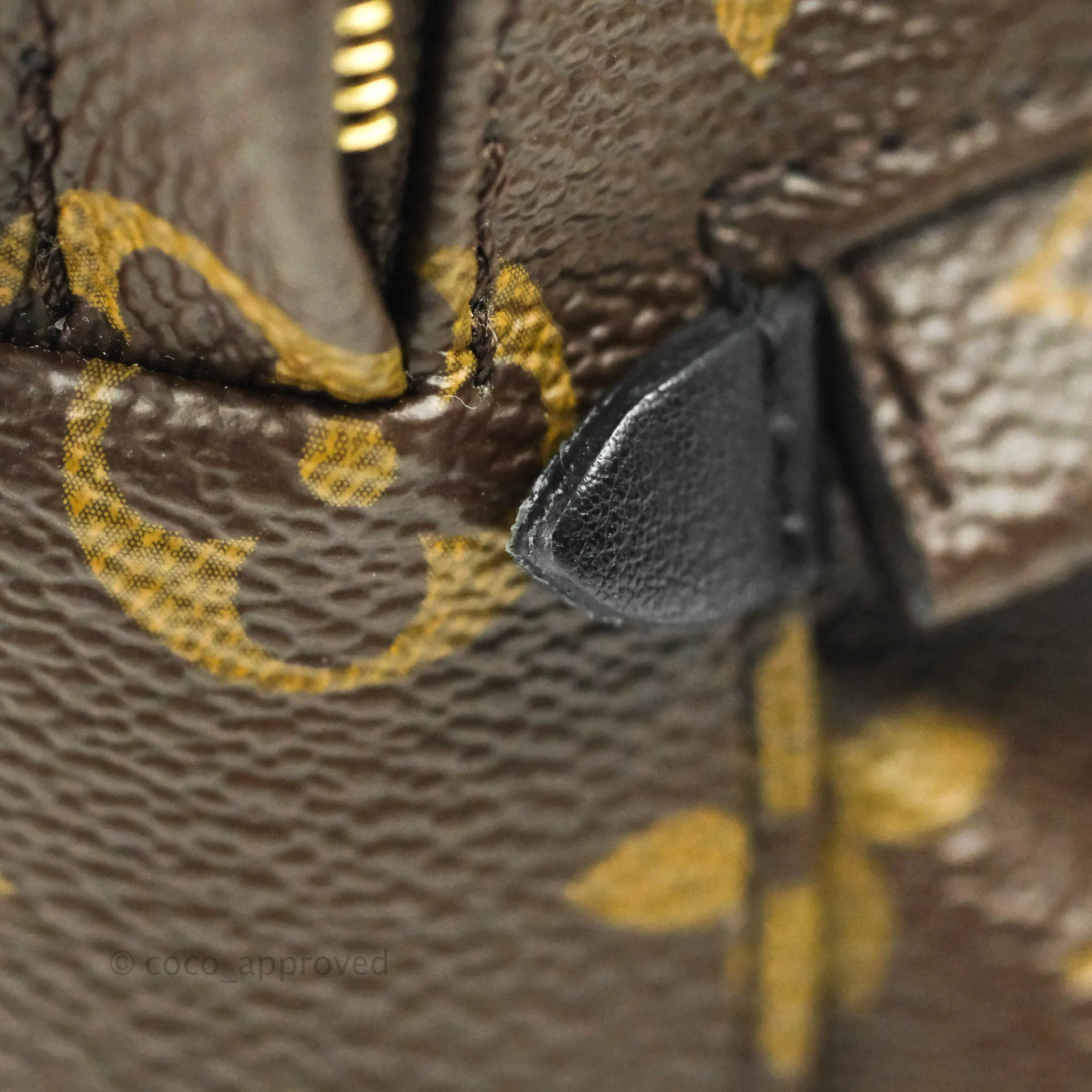 Louis Vuitton Monogram Mini Palm Springs Backpack