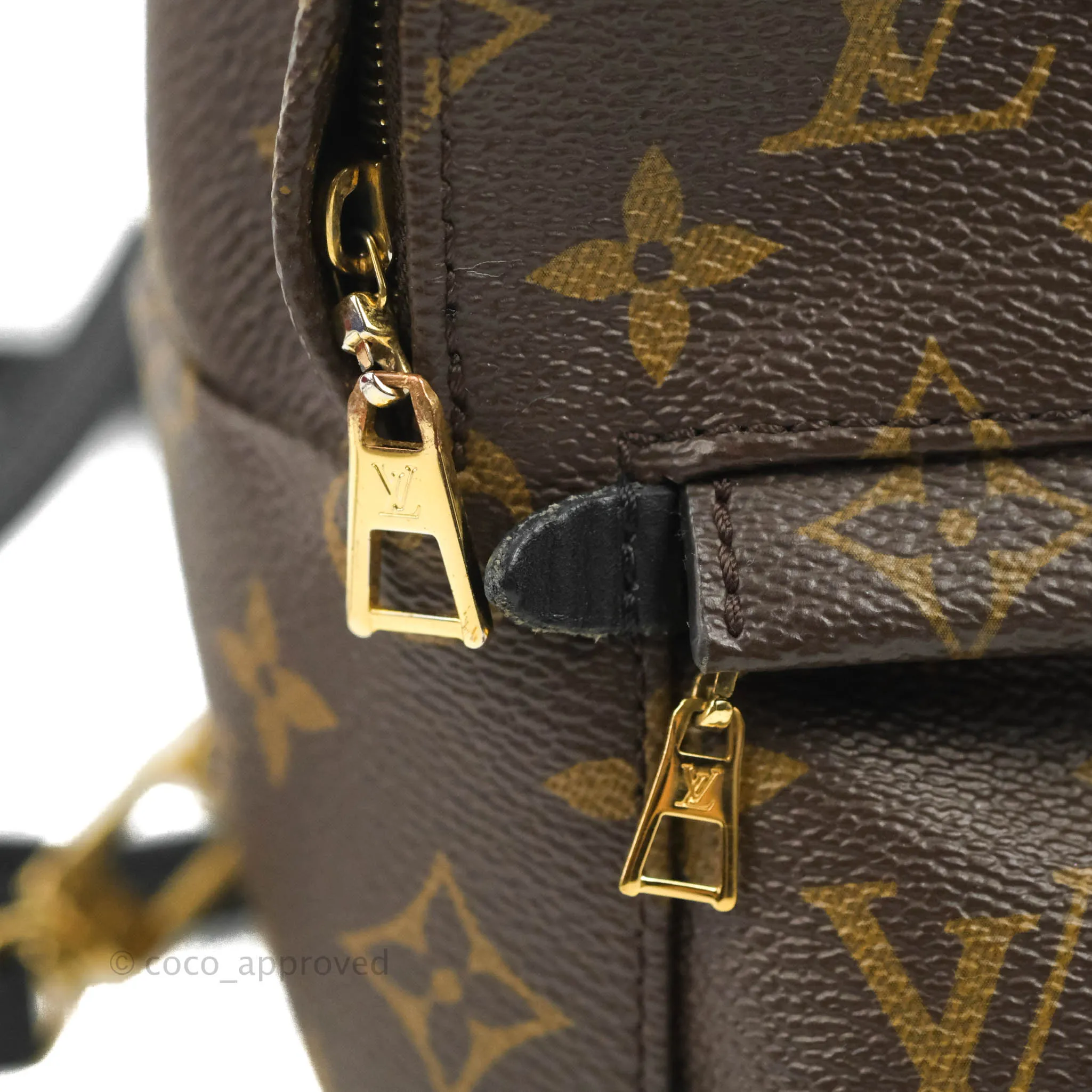 Louis Vuitton Monogram Mini Palm Springs Backpack