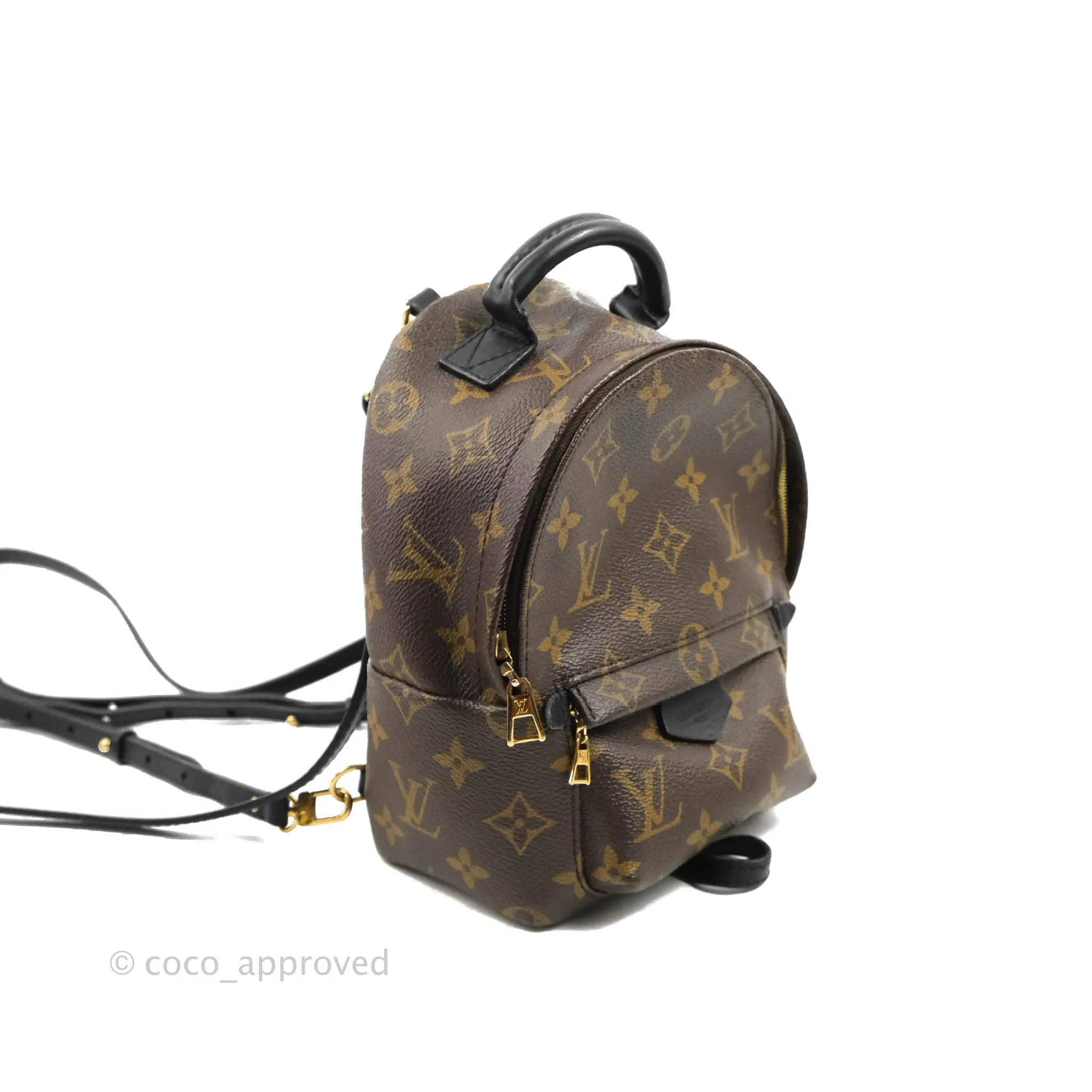 Louis Vuitton Monogram Mini Palm Springs Backpack