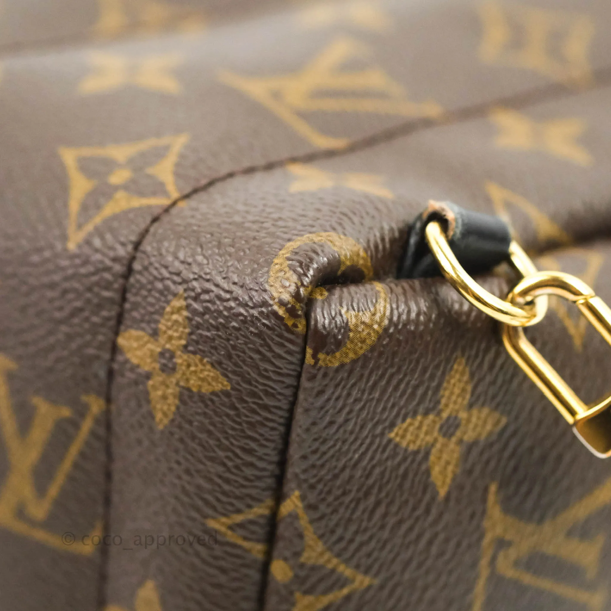 Louis Vuitton Monogram Mini Palm Springs Backpack