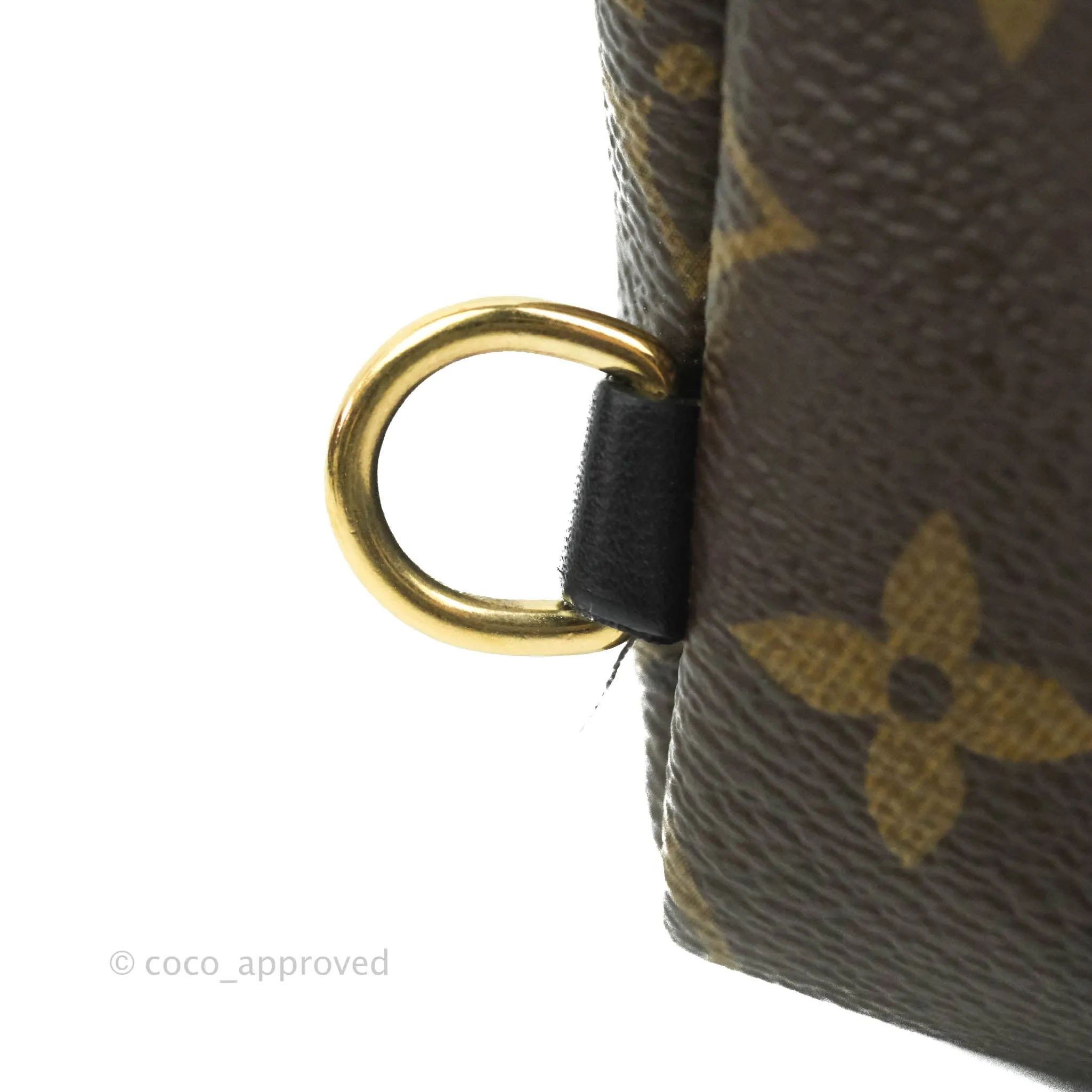 Louis Vuitton Monogram Mini Palm Springs Backpack