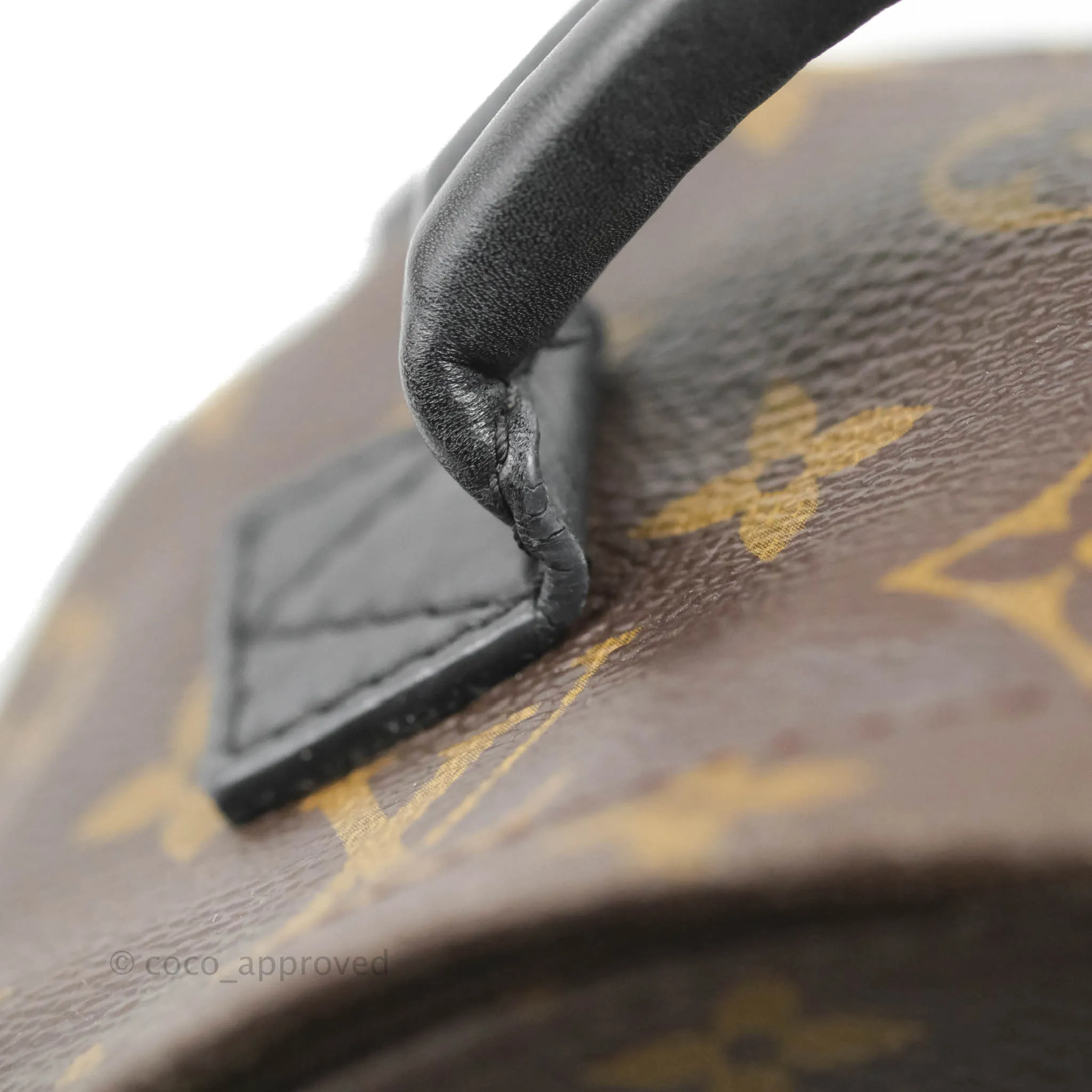 Louis Vuitton Monogram Mini Palm Springs Backpack