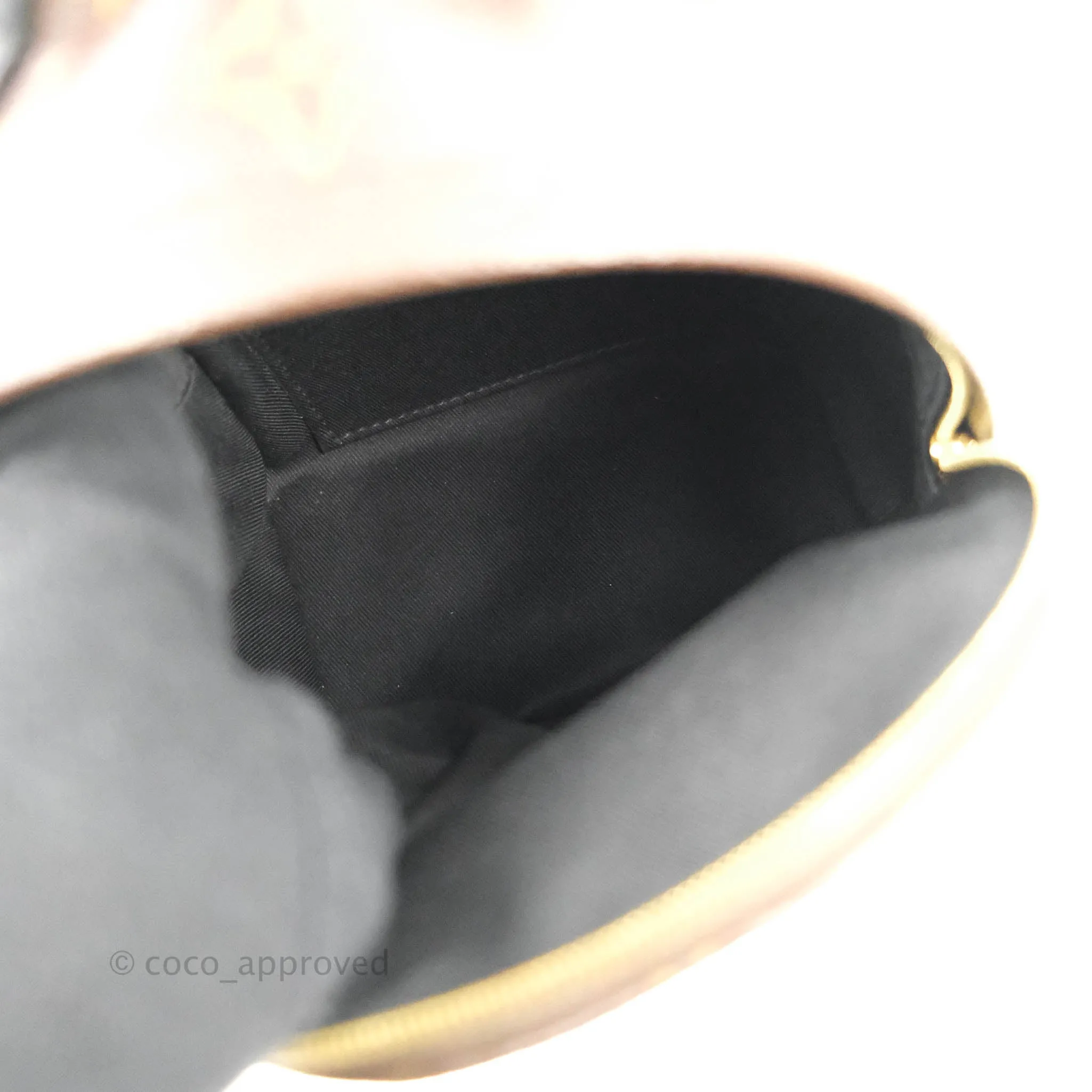 Louis Vuitton Monogram Mini Palm Springs Backpack