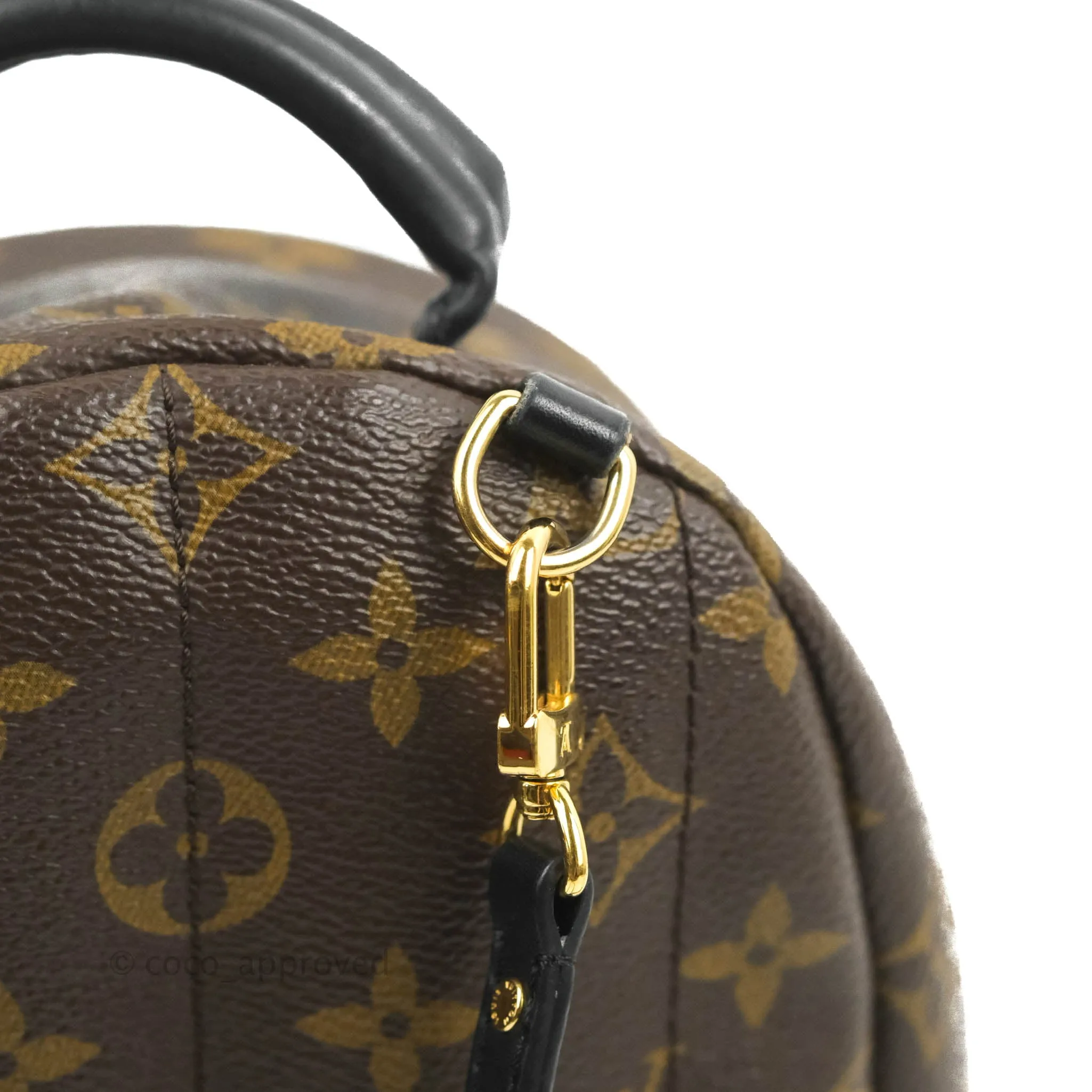Louis Vuitton Monogram Mini Palm Springs Backpack