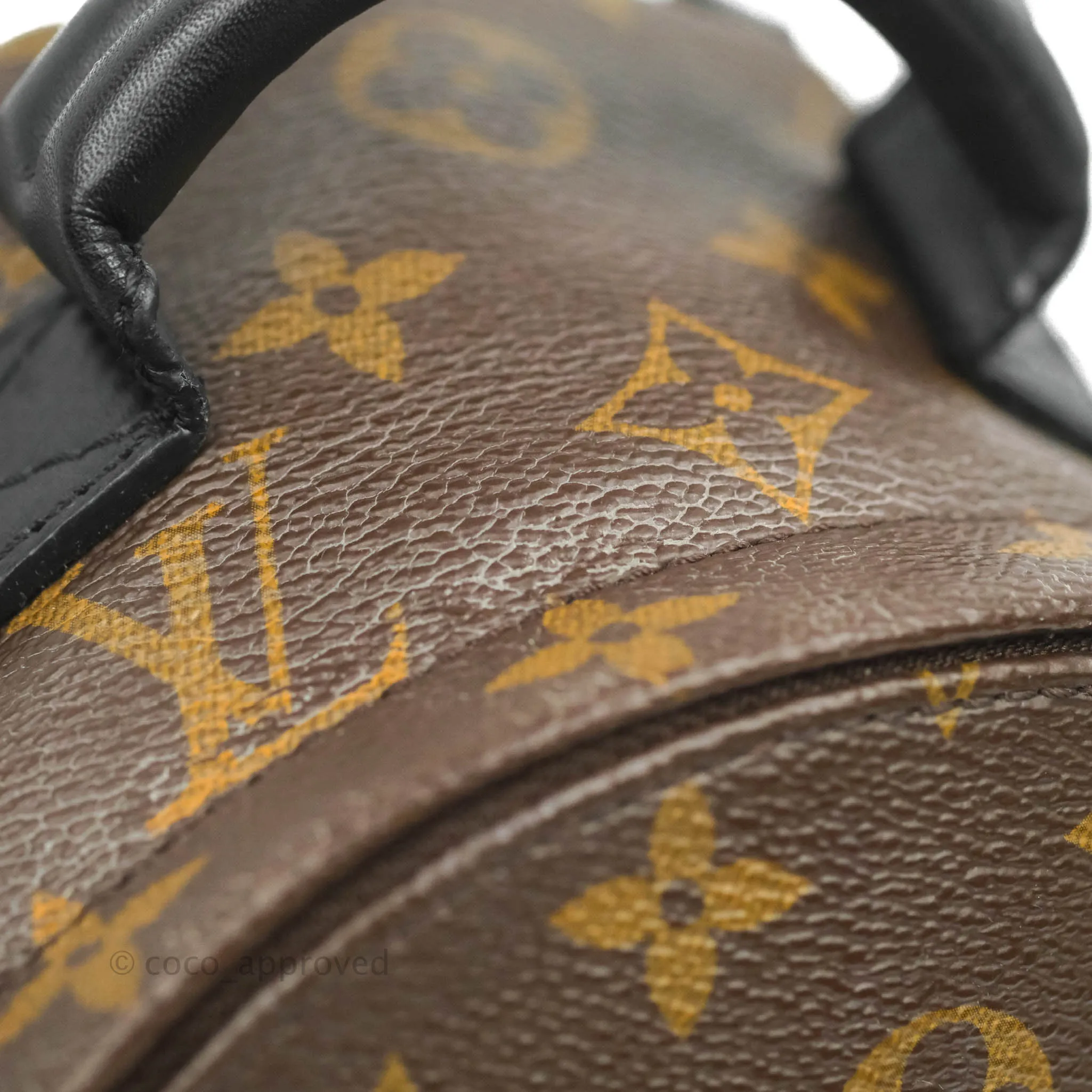 Louis Vuitton Monogram Mini Palm Springs Backpack