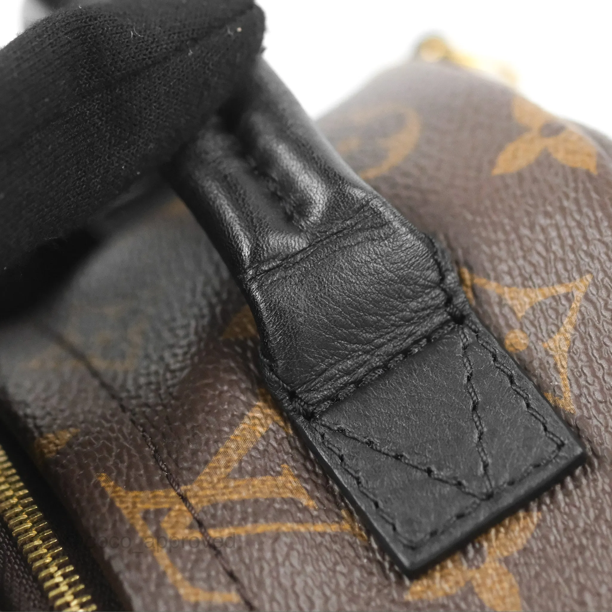 Louis Vuitton Monogram Mini Palm Springs Backpack