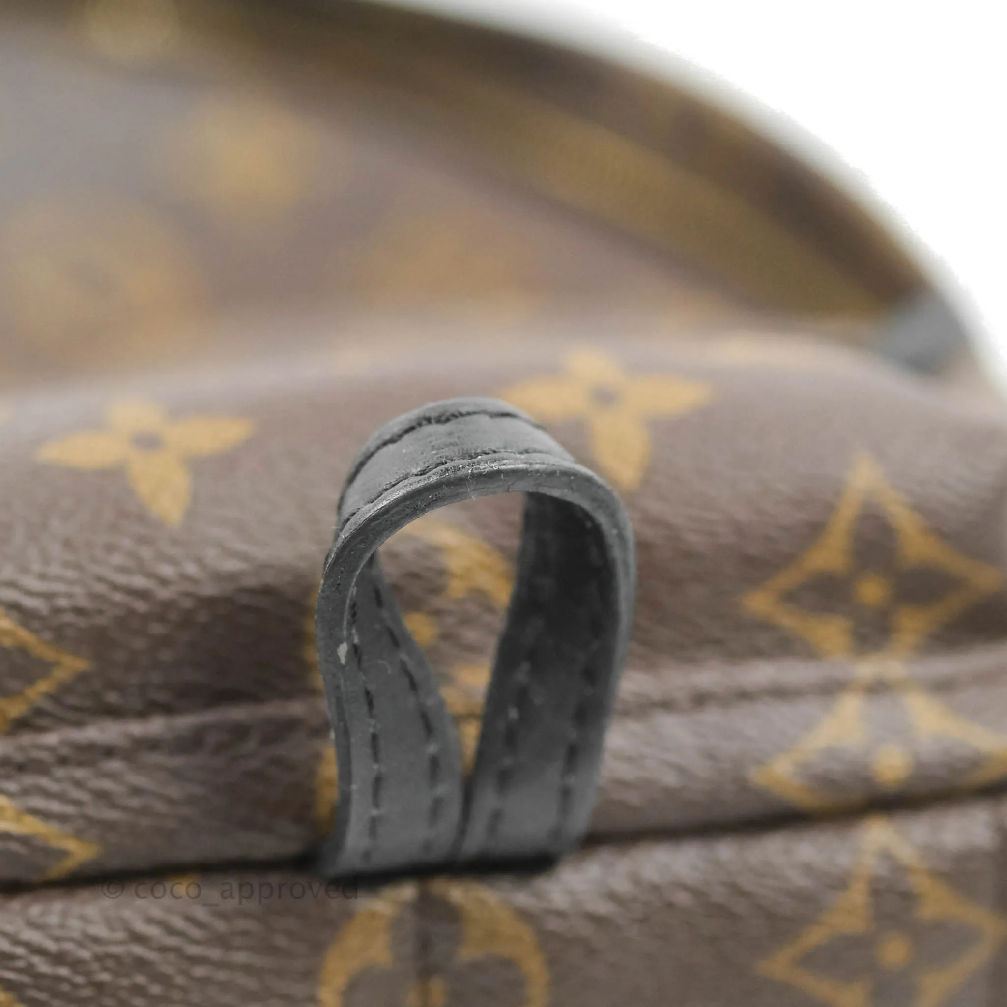 Louis Vuitton Monogram Mini Palm Springs Backpack