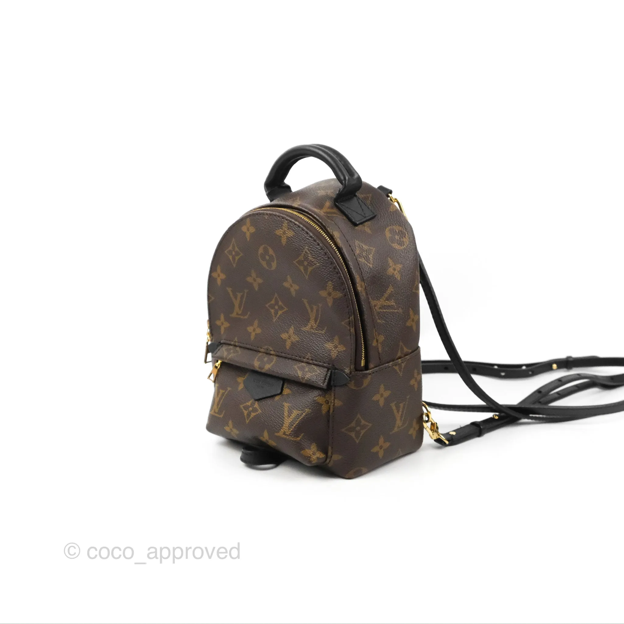 Louis Vuitton Monogram Mini Palm Springs Backpack