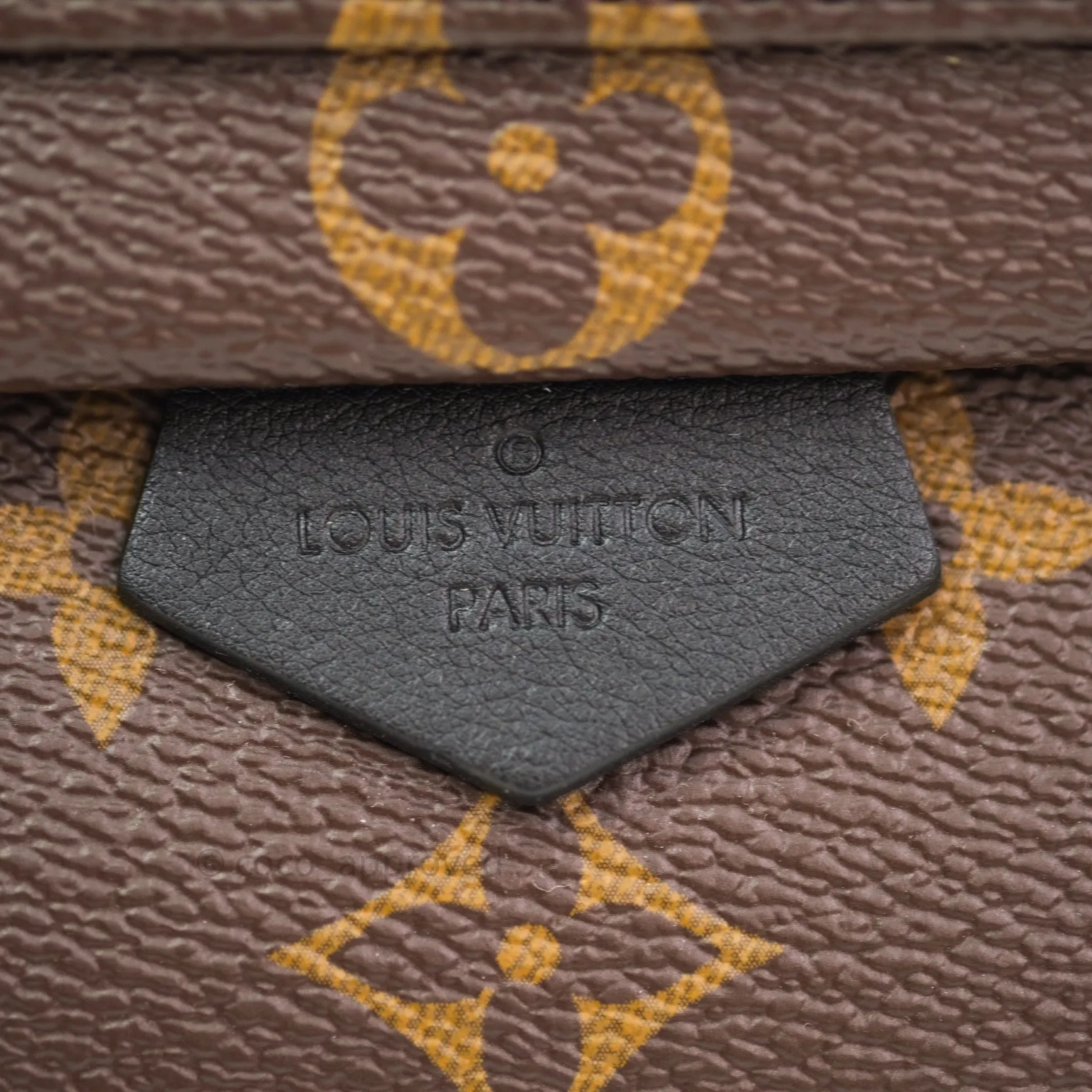 Louis Vuitton Monogram Mini Palm Springs Backpack