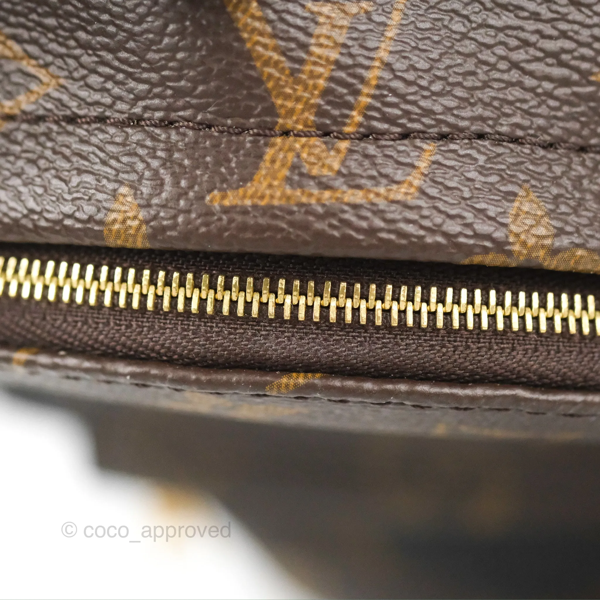 Louis Vuitton Monogram Mini Palm Springs Backpack