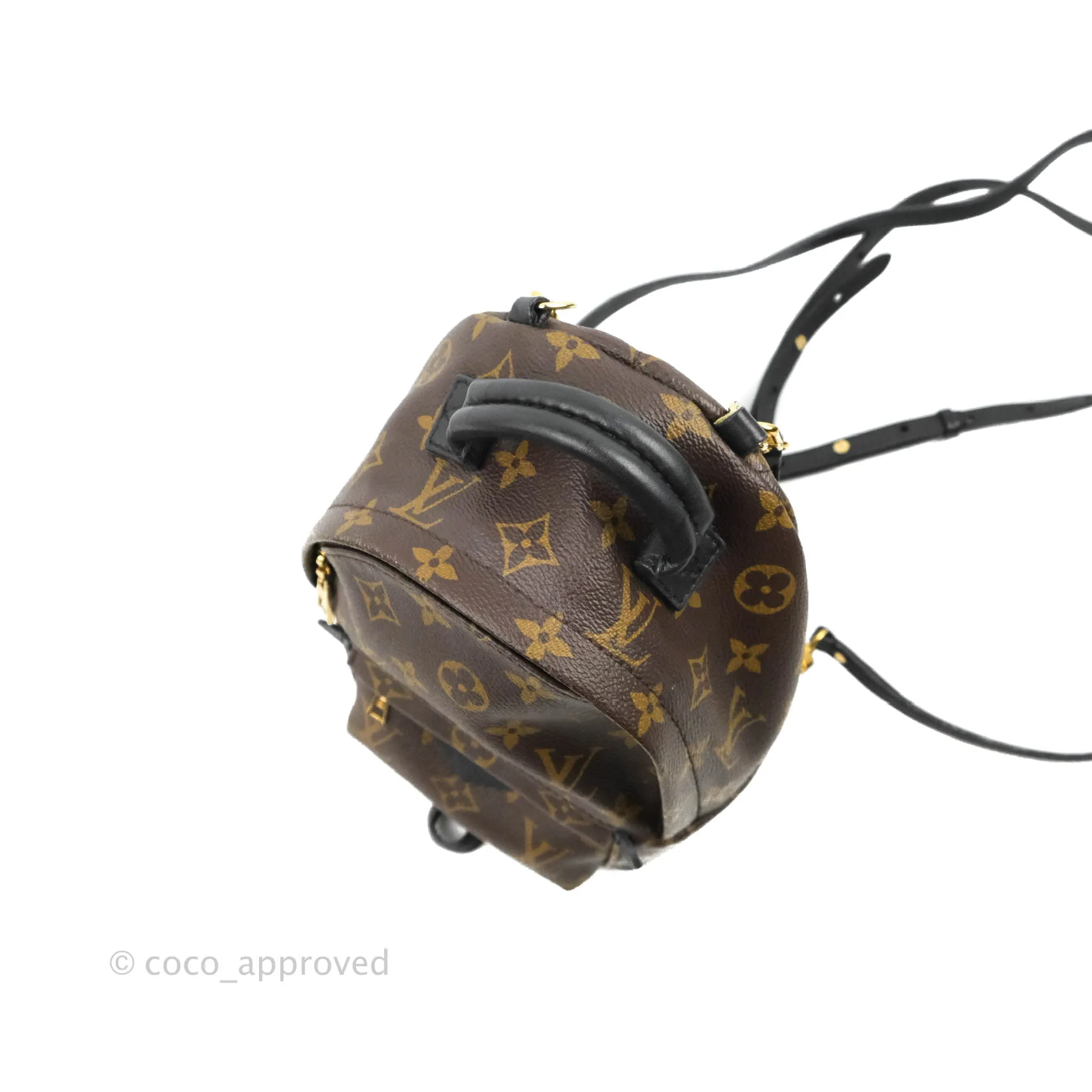 Louis Vuitton Monogram Mini Palm Springs Backpack