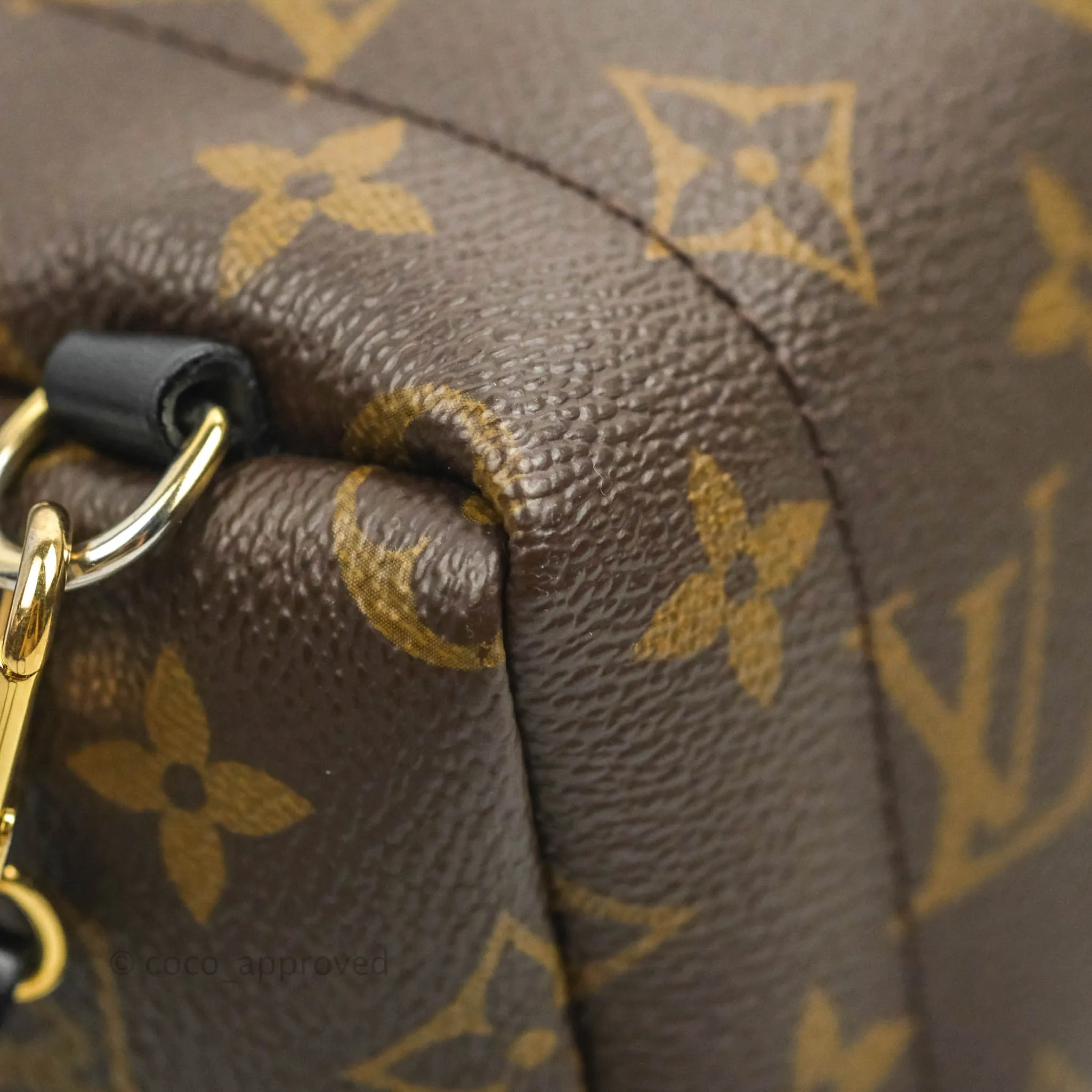 Louis Vuitton Monogram Mini Palm Springs Backpack