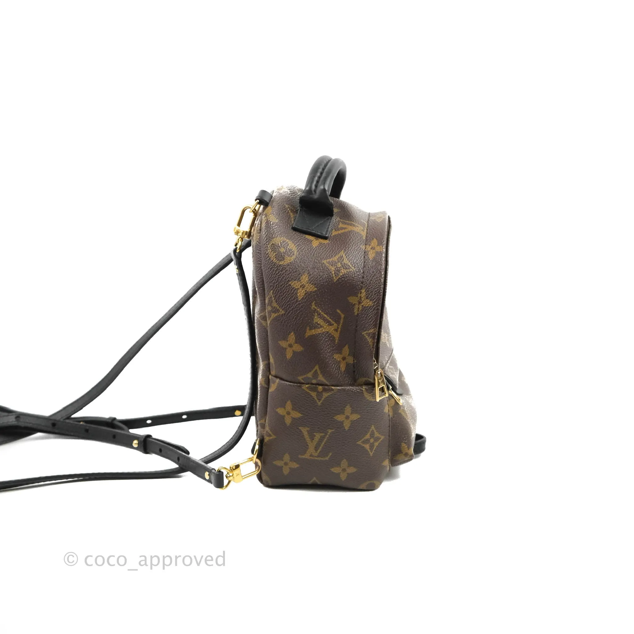 Louis Vuitton Monogram Mini Palm Springs Backpack