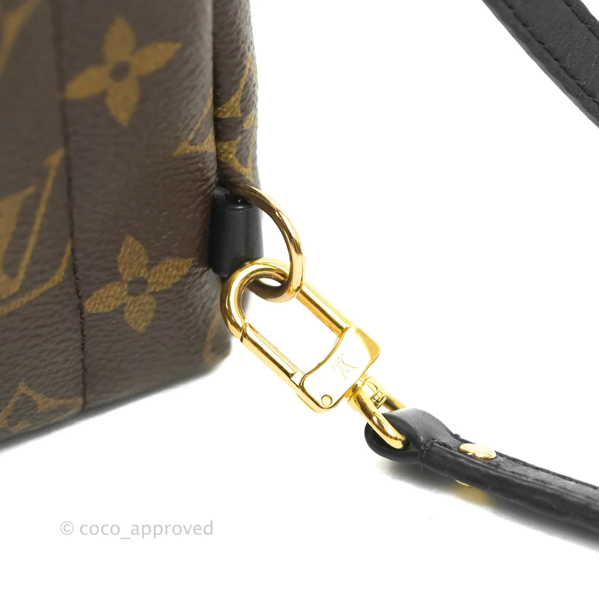 Louis Vuitton Monogram Mini Palm Springs Backpack
