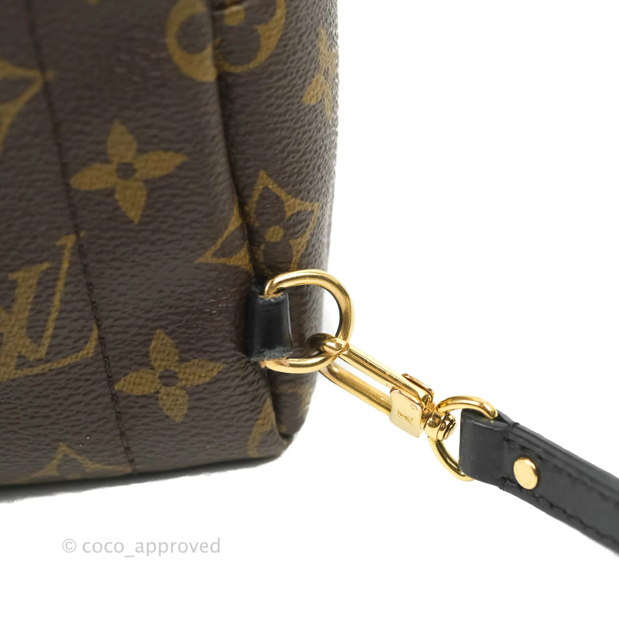 Louis Vuitton Monogram Mini Palm Springs Backpack