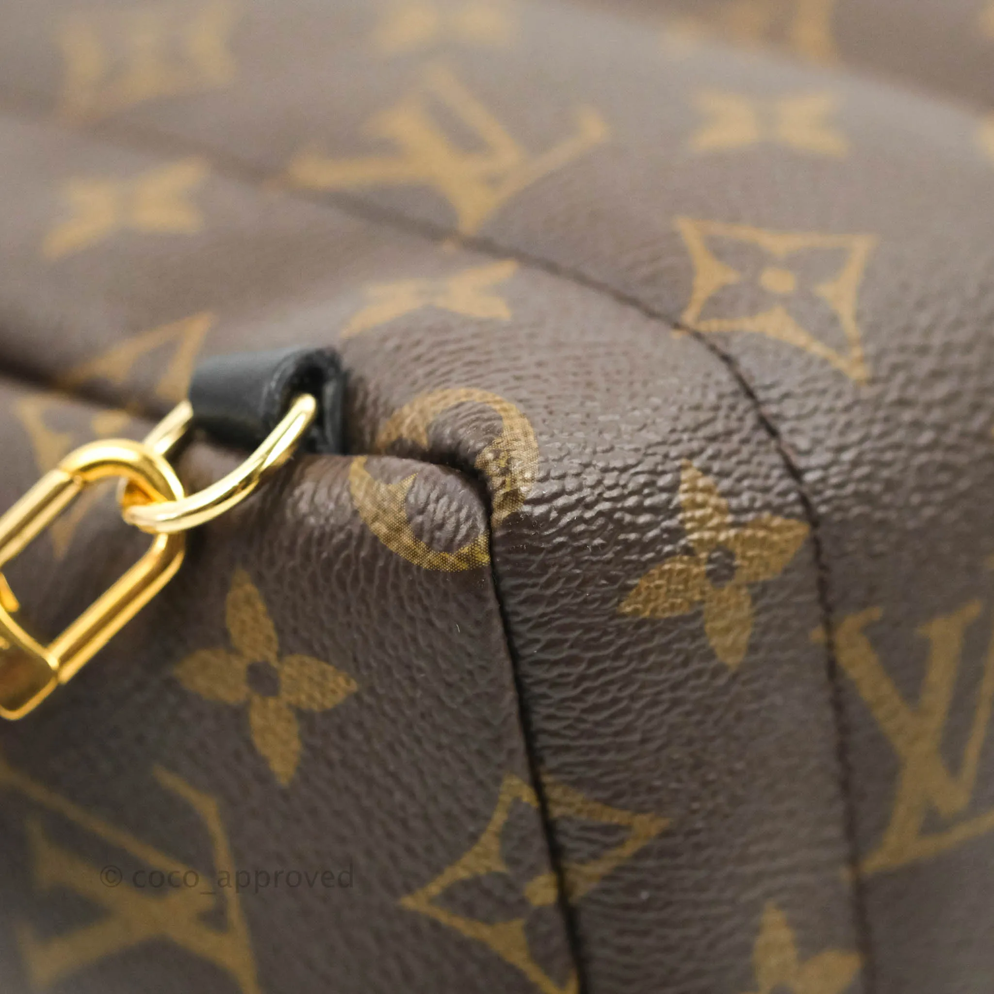 Louis Vuitton Monogram Mini Palm Springs Backpack