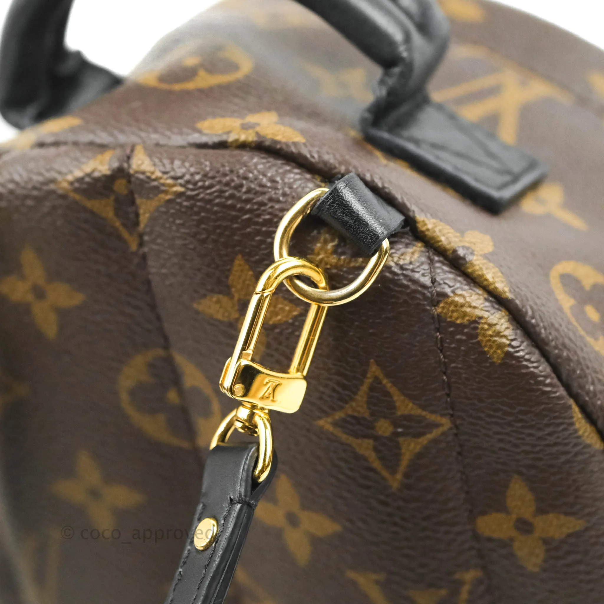 Louis Vuitton Monogram Mini Palm Springs Backpack