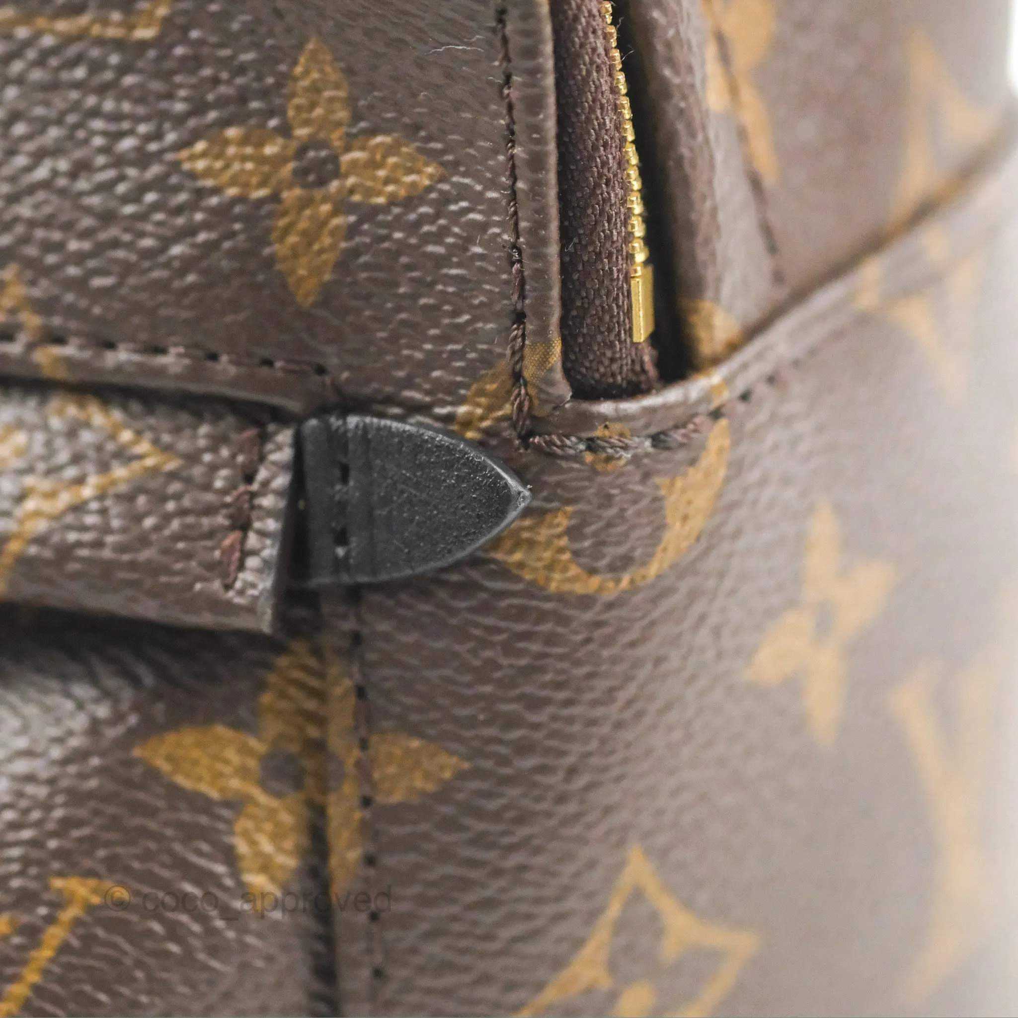 Louis Vuitton Monogram Mini Palm Springs Backpack