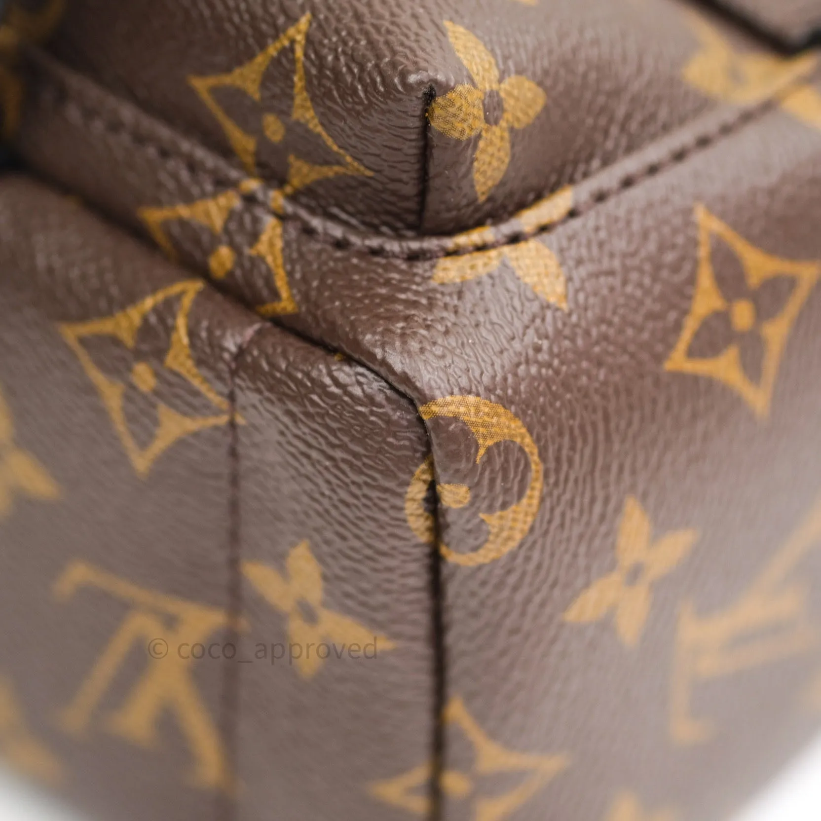 Louis Vuitton Monogram Mini Palm Springs Backpack