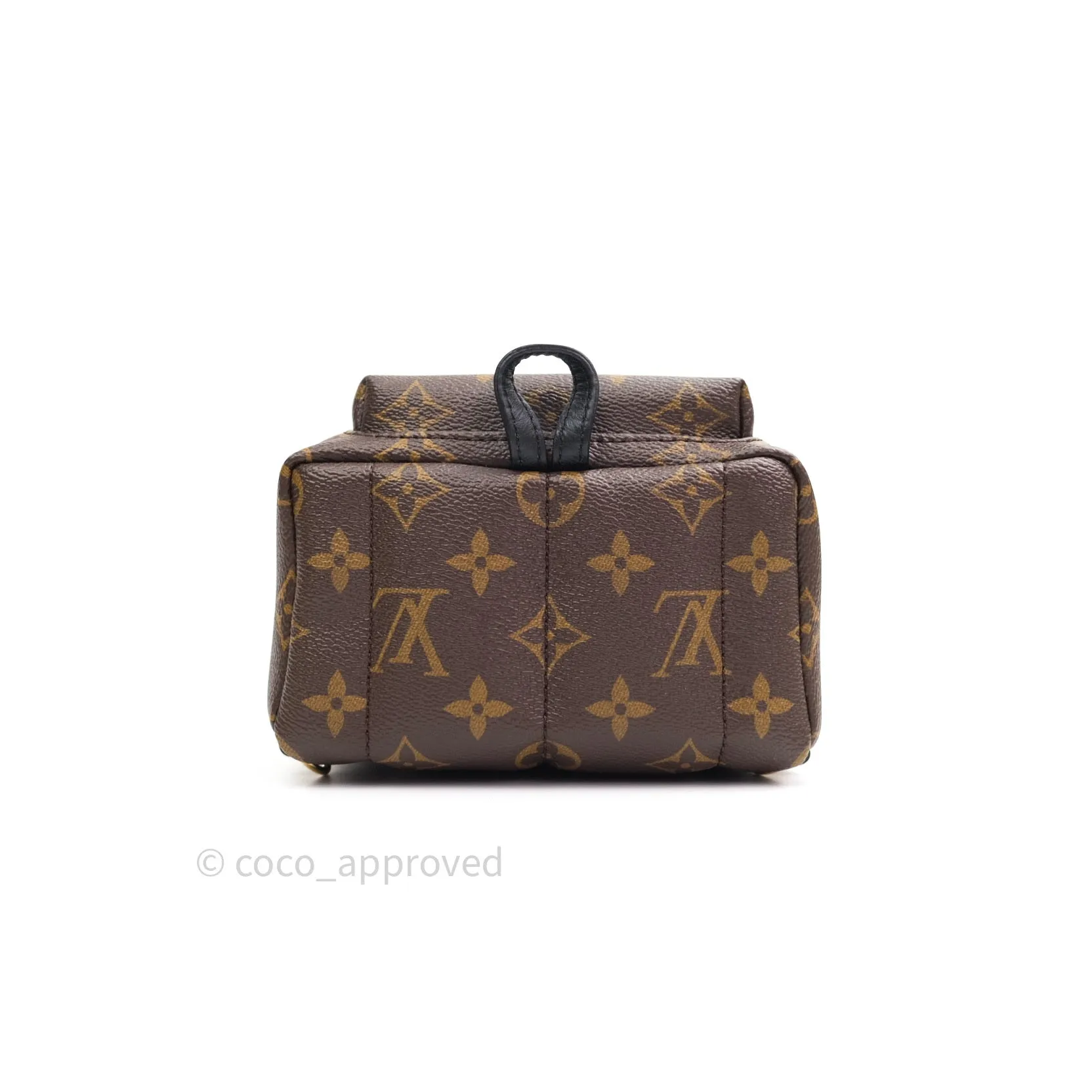 Louis Vuitton Monogram Mini Palm Springs Backpack