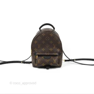 Louis Vuitton Monogram Mini Palm Springs Backpack