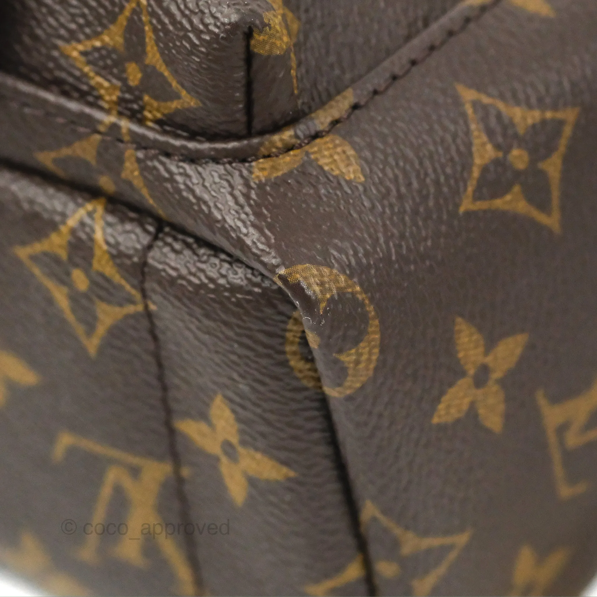 Louis Vuitton Monogram Mini Palm Springs Backpack