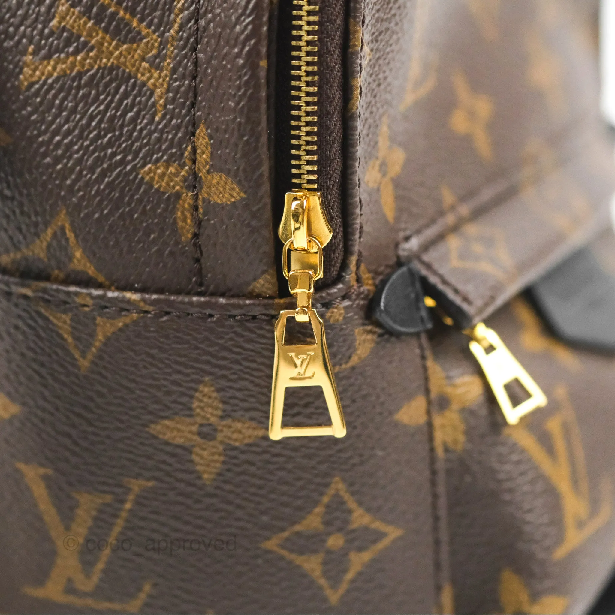 Louis Vuitton Monogram Mini Palm Springs Backpack