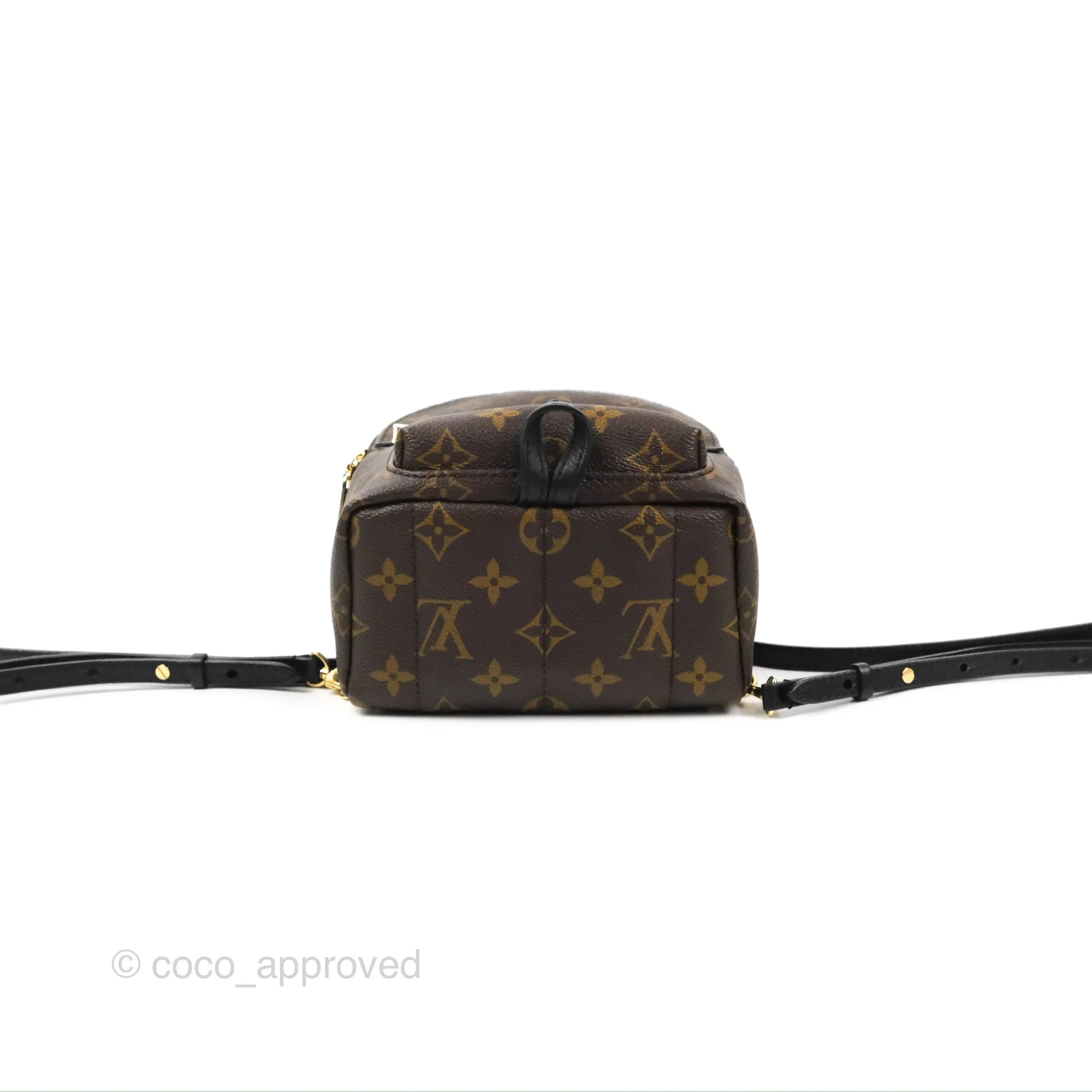 Louis Vuitton Monogram Mini Palm Springs Backpack