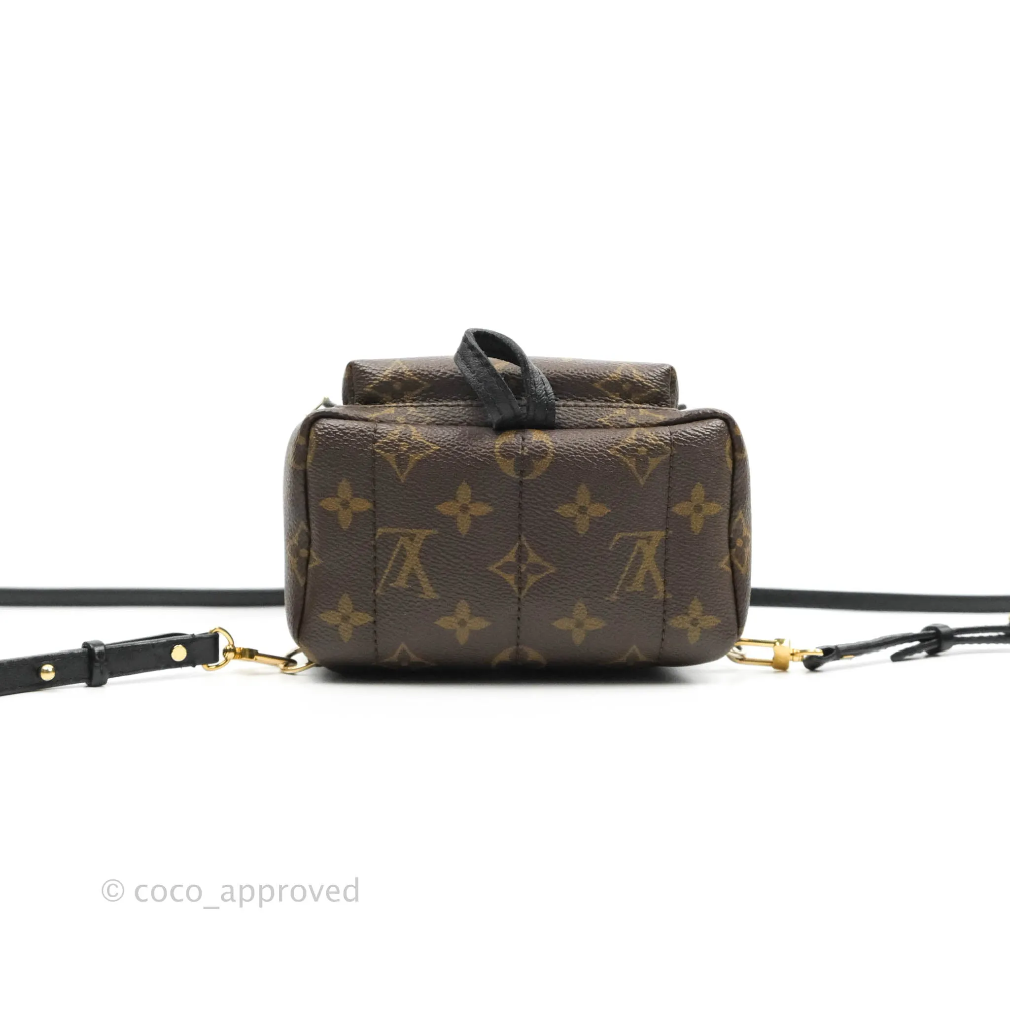 Louis Vuitton Monogram Mini Palm Springs Backpack