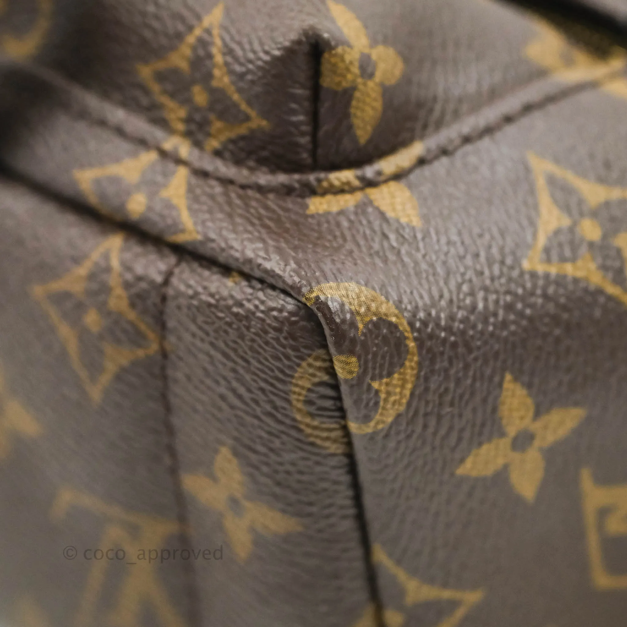 Louis Vuitton Monogram Mini Palm Springs Backpack