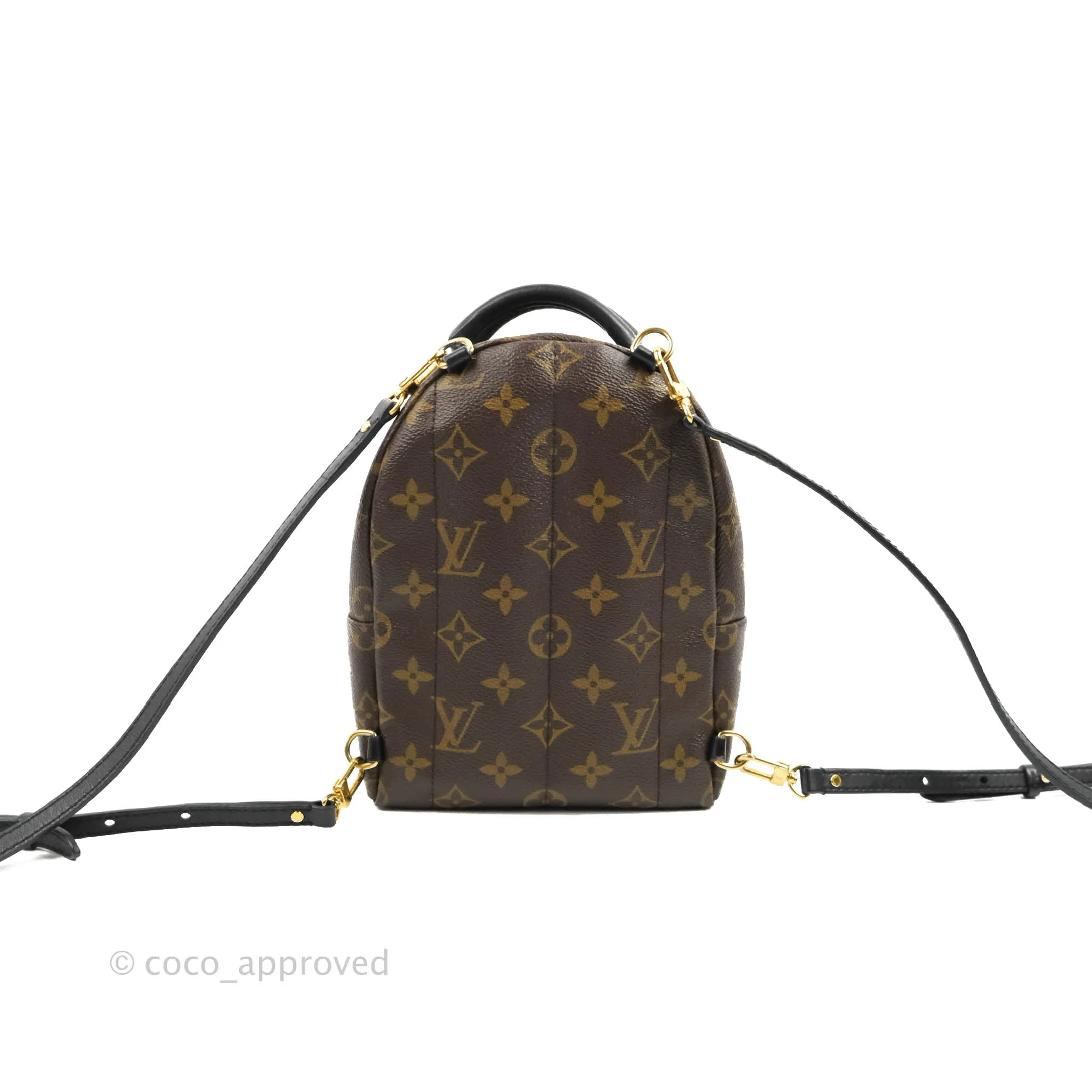 Louis Vuitton Monogram Mini Palm Springs Backpack