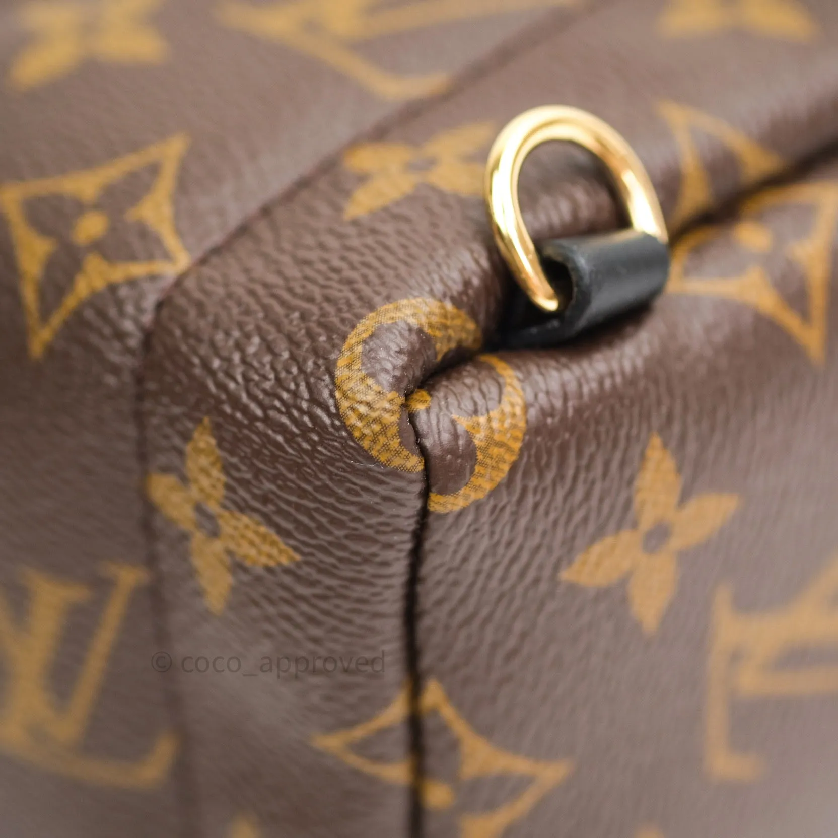 Louis Vuitton Monogram Mini Palm Springs Backpack