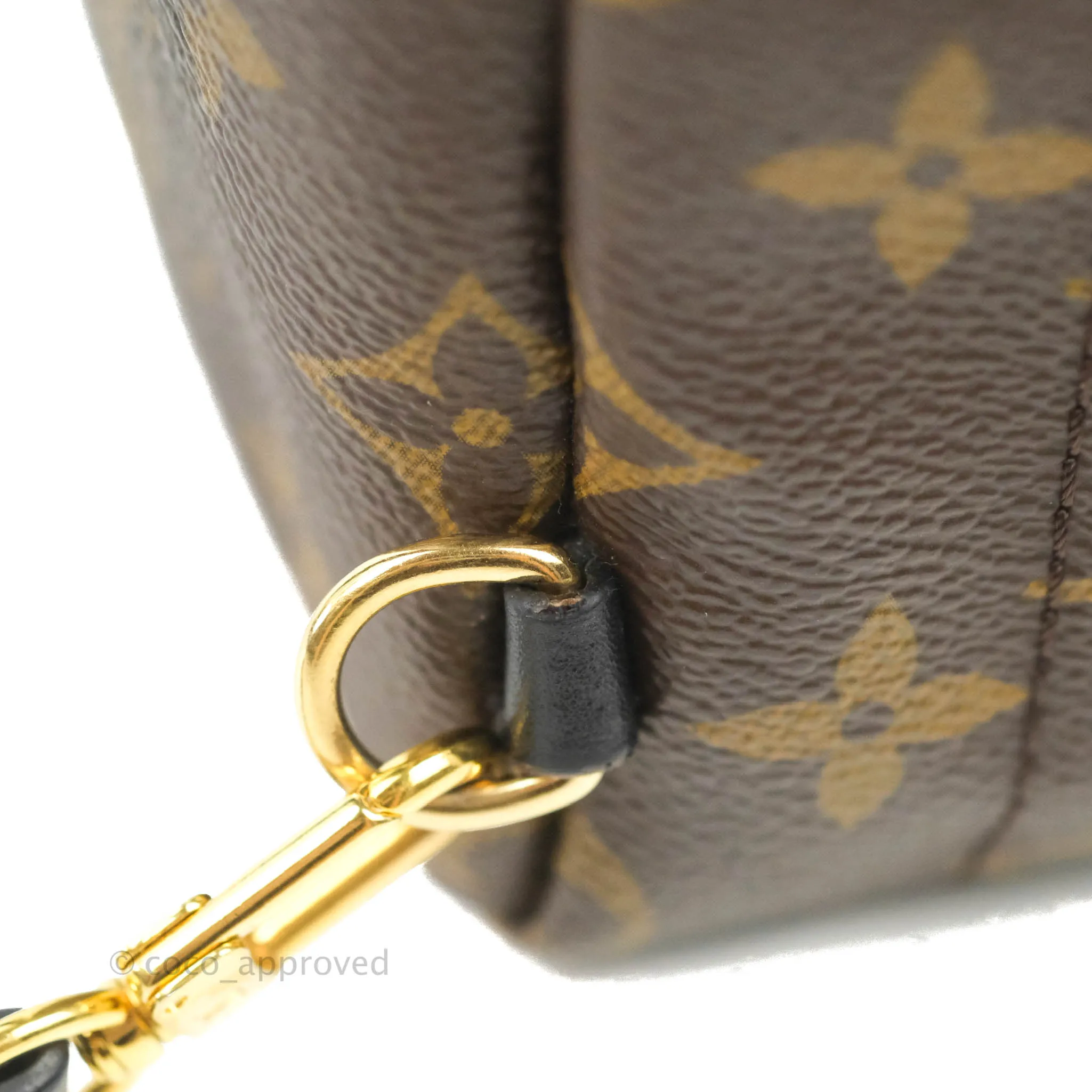 Louis Vuitton Monogram Mini Palm Springs Backpack