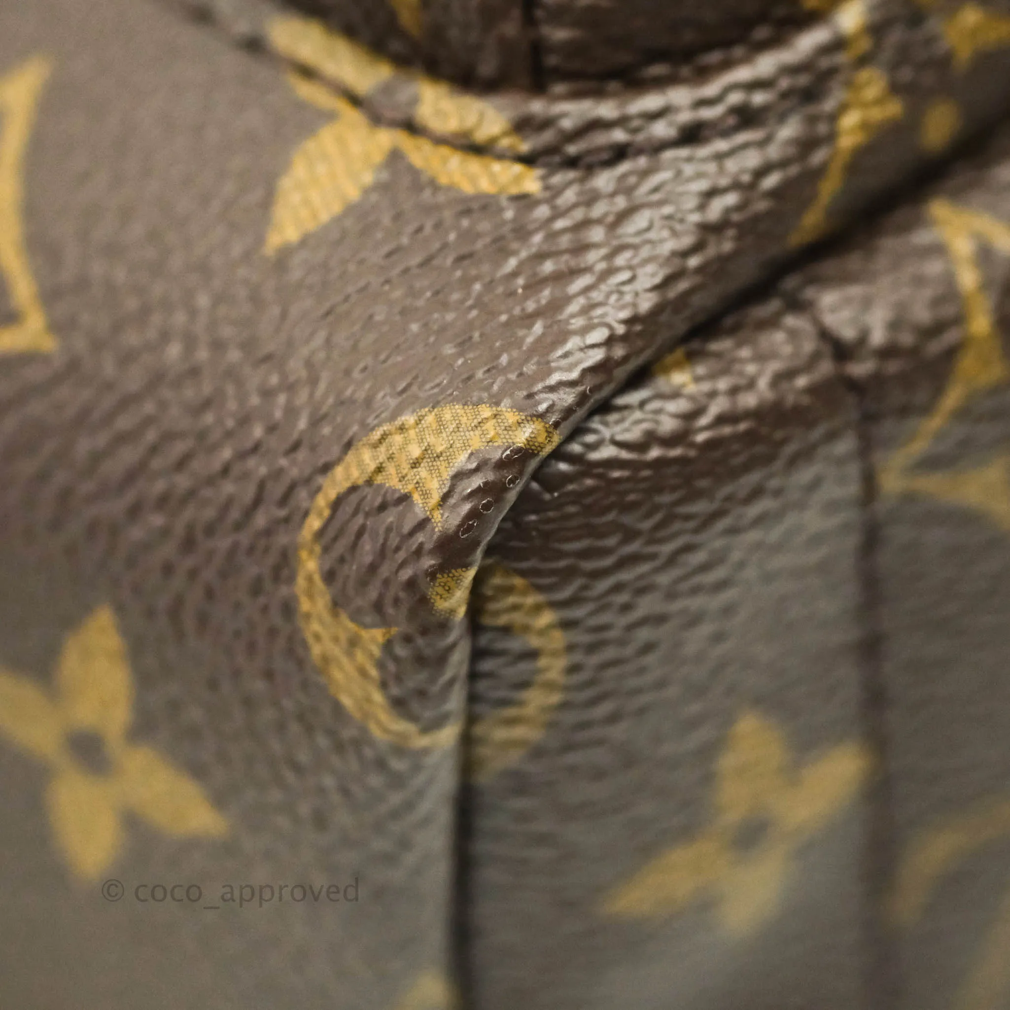 Louis Vuitton Monogram Mini Palm Springs Backpack