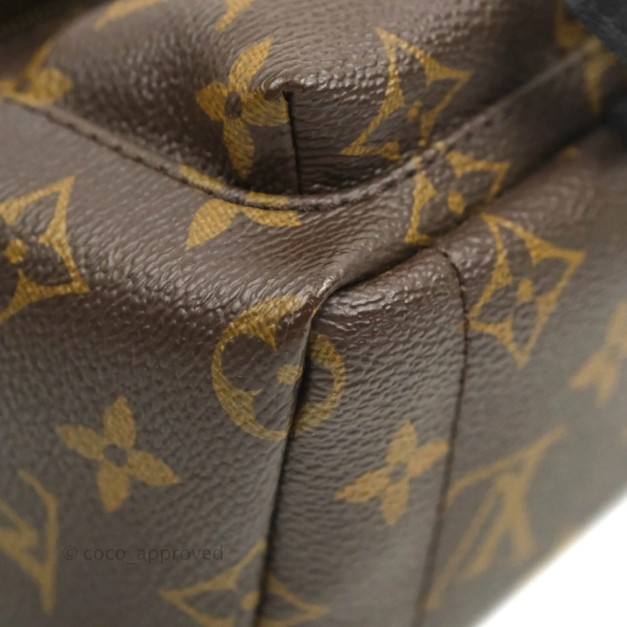 Louis Vuitton Monogram Mini Palm Springs Backpack