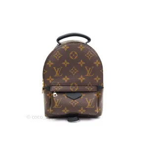 Louis Vuitton Monogram Mini Palm Springs Backpack