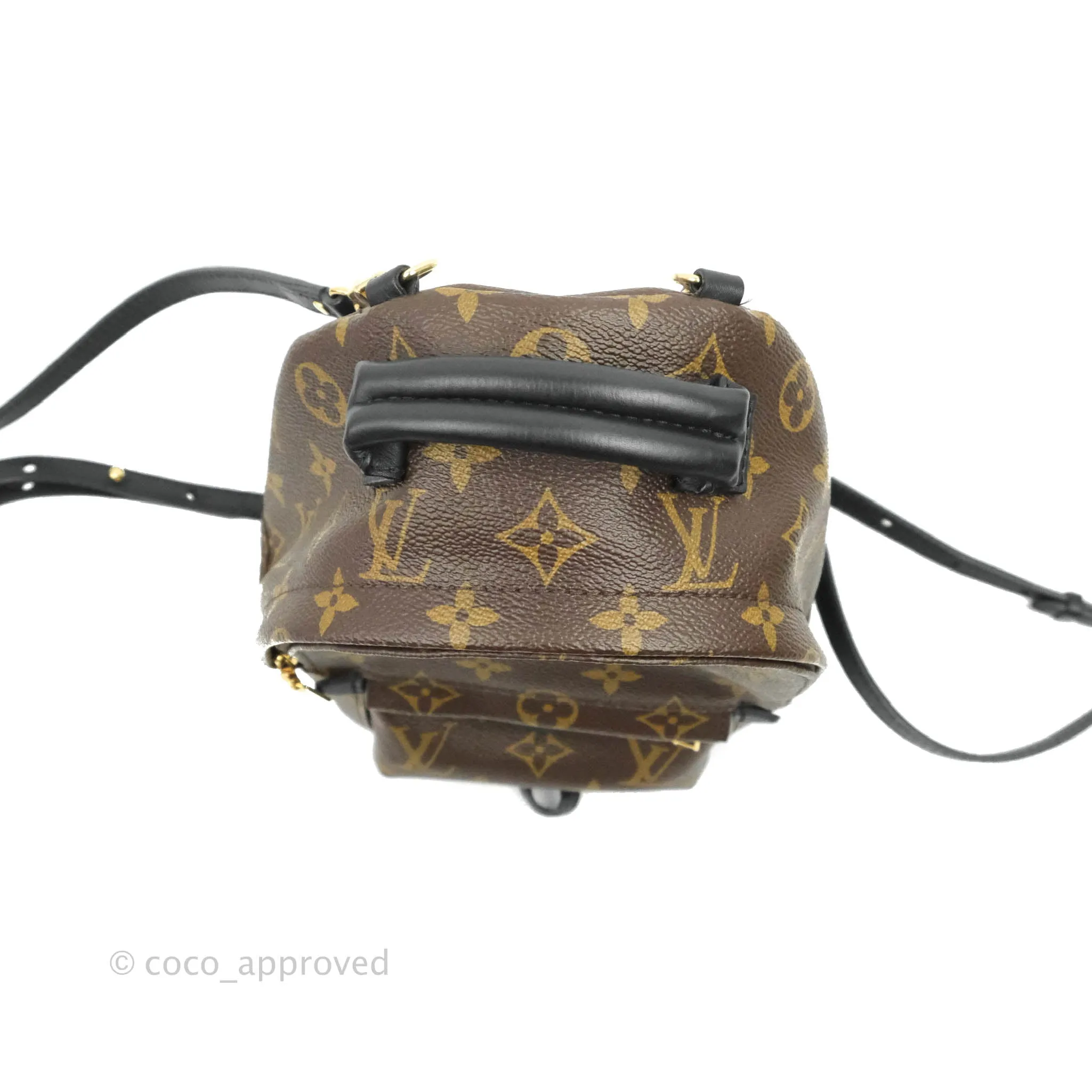 Louis Vuitton Monogram Mini Palm Springs Backpack