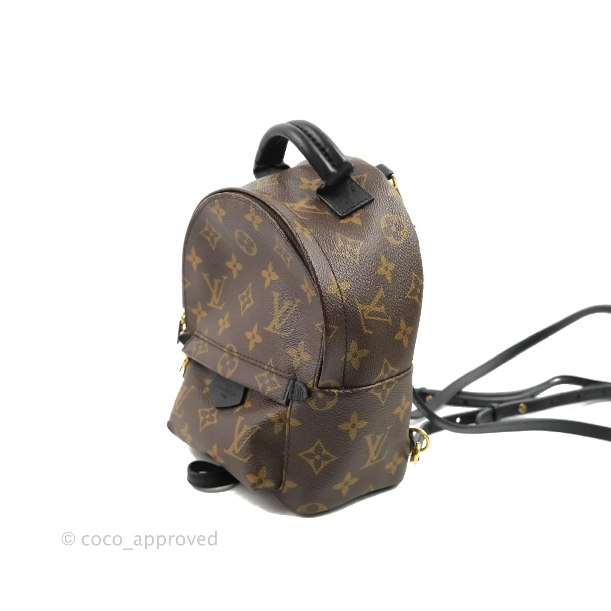 Louis Vuitton Monogram Mini Palm Springs Backpack